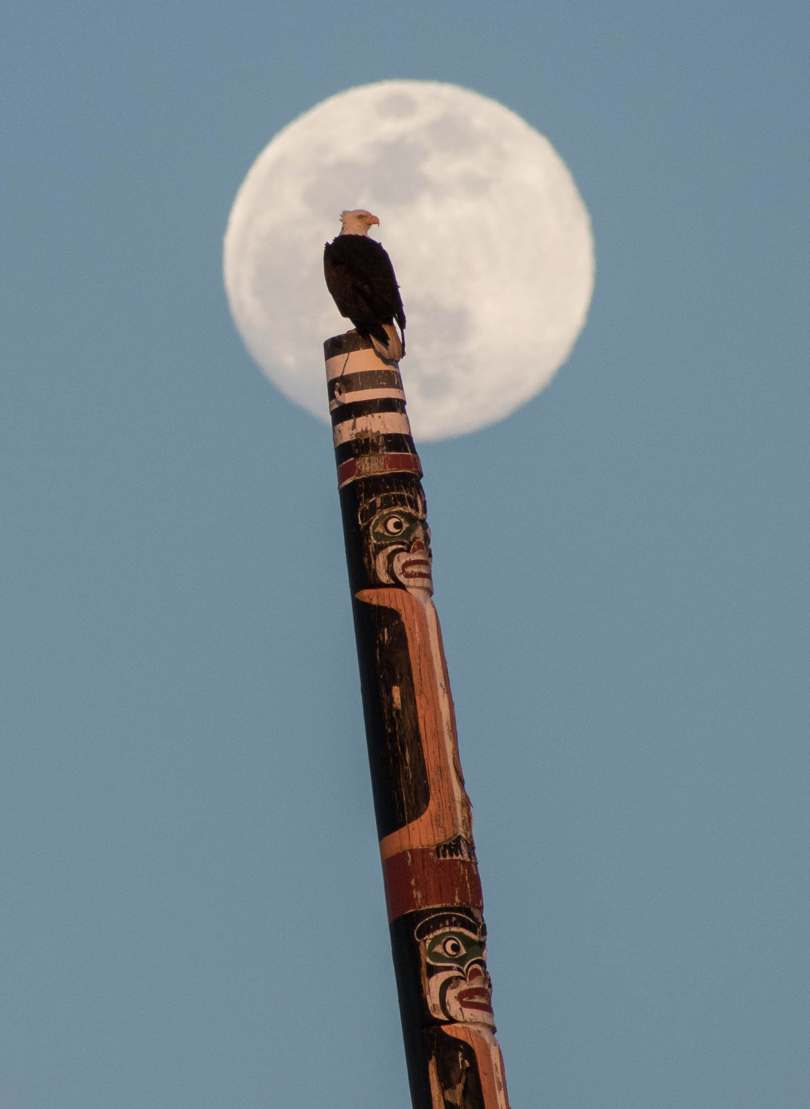 Totem eagle in Beacon Hill Park in Victoria