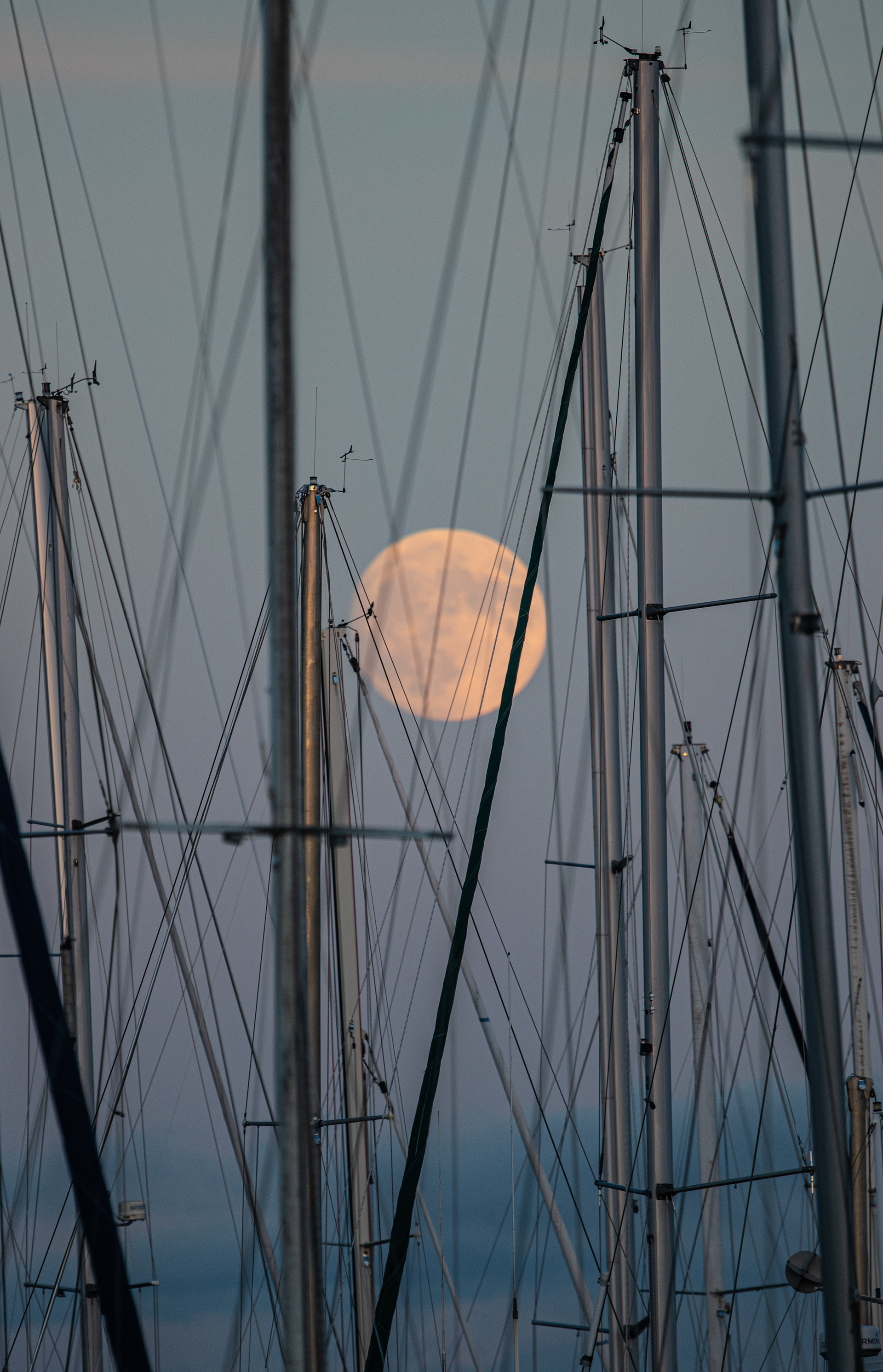 Moon in the masts of Oak Bay Marina.