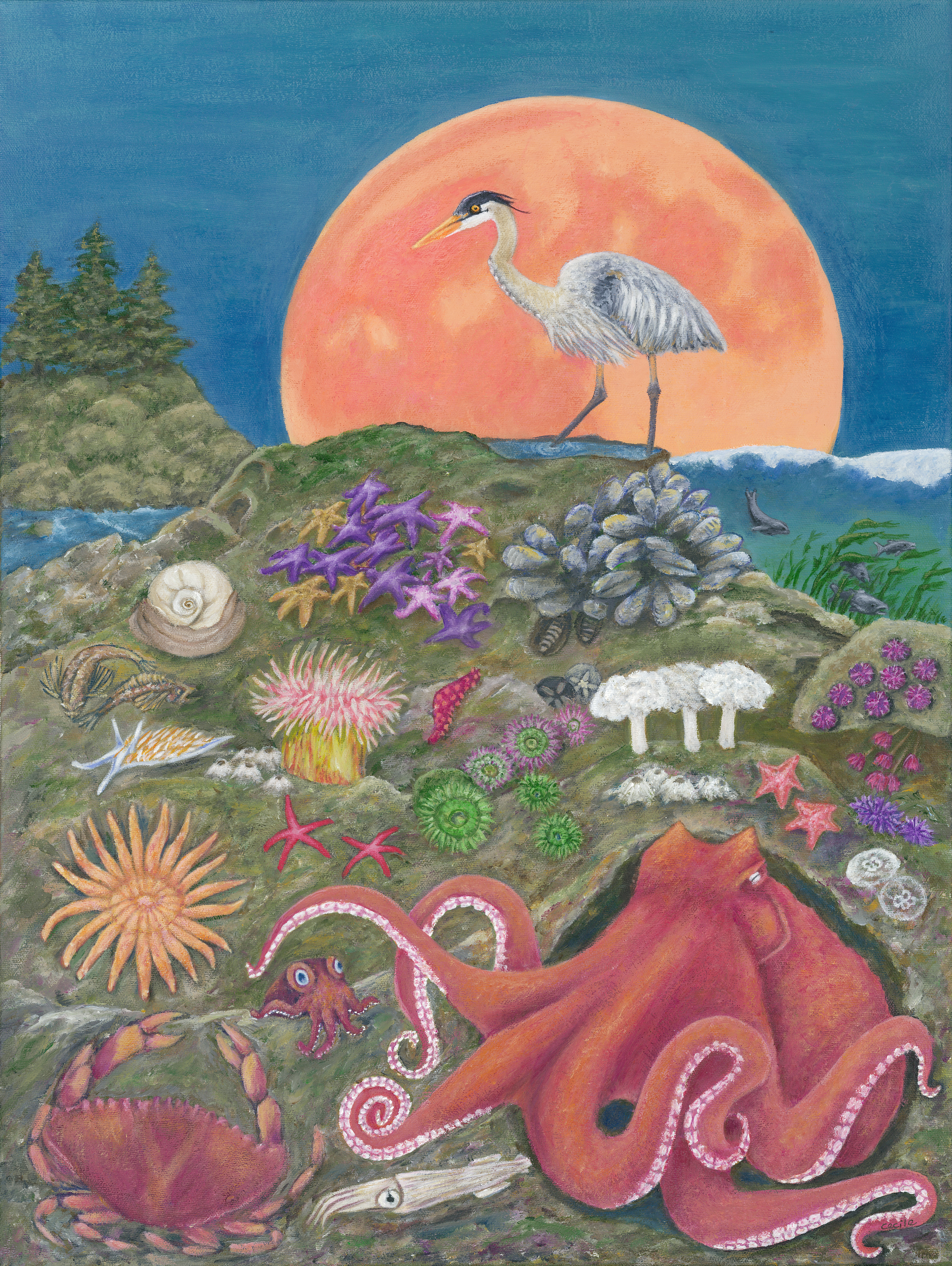 Sturgeon Moon over Vancouver Island and creatures in the Salish Sea.