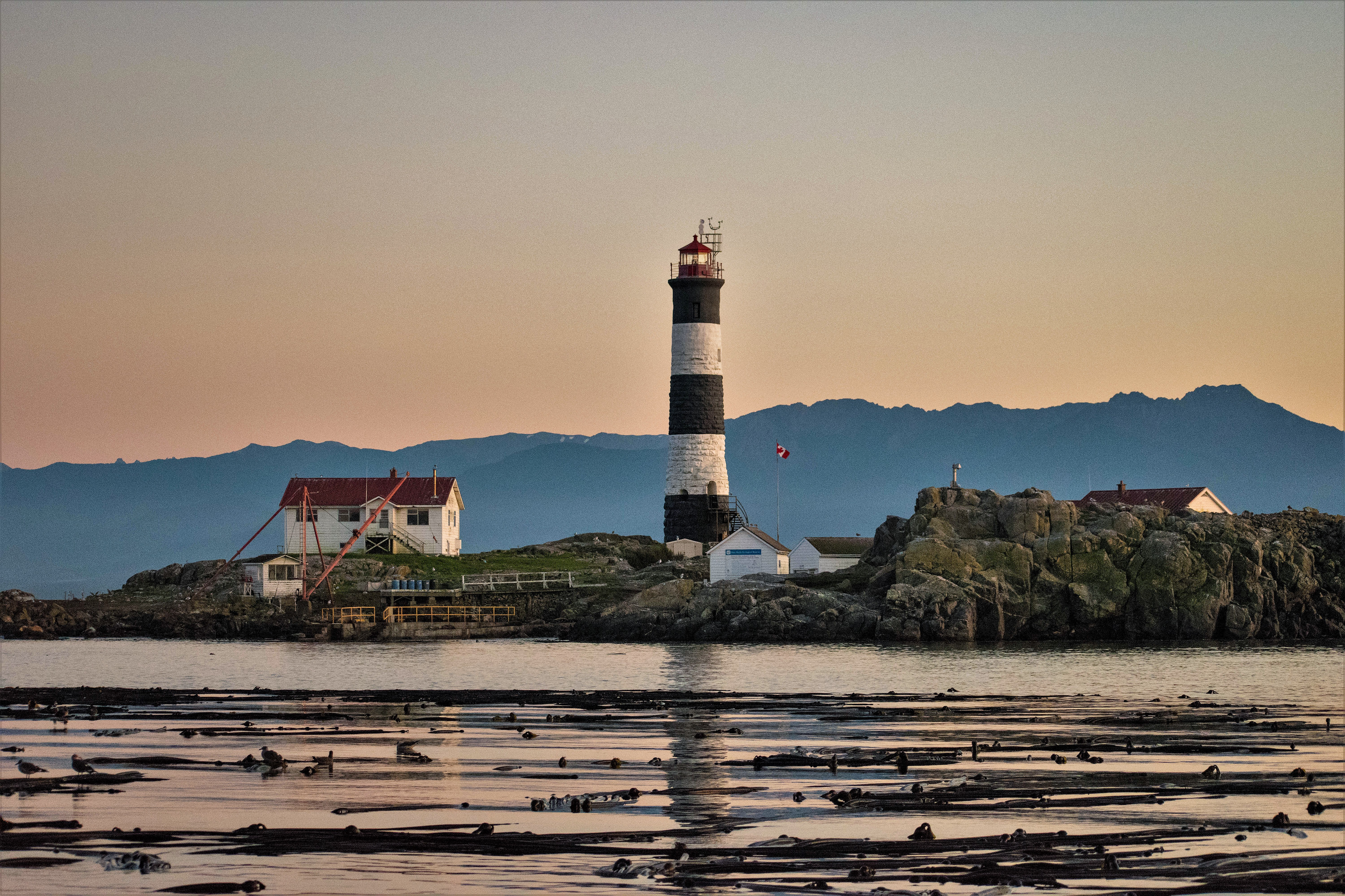 Race Rocks, near Vancouver Island