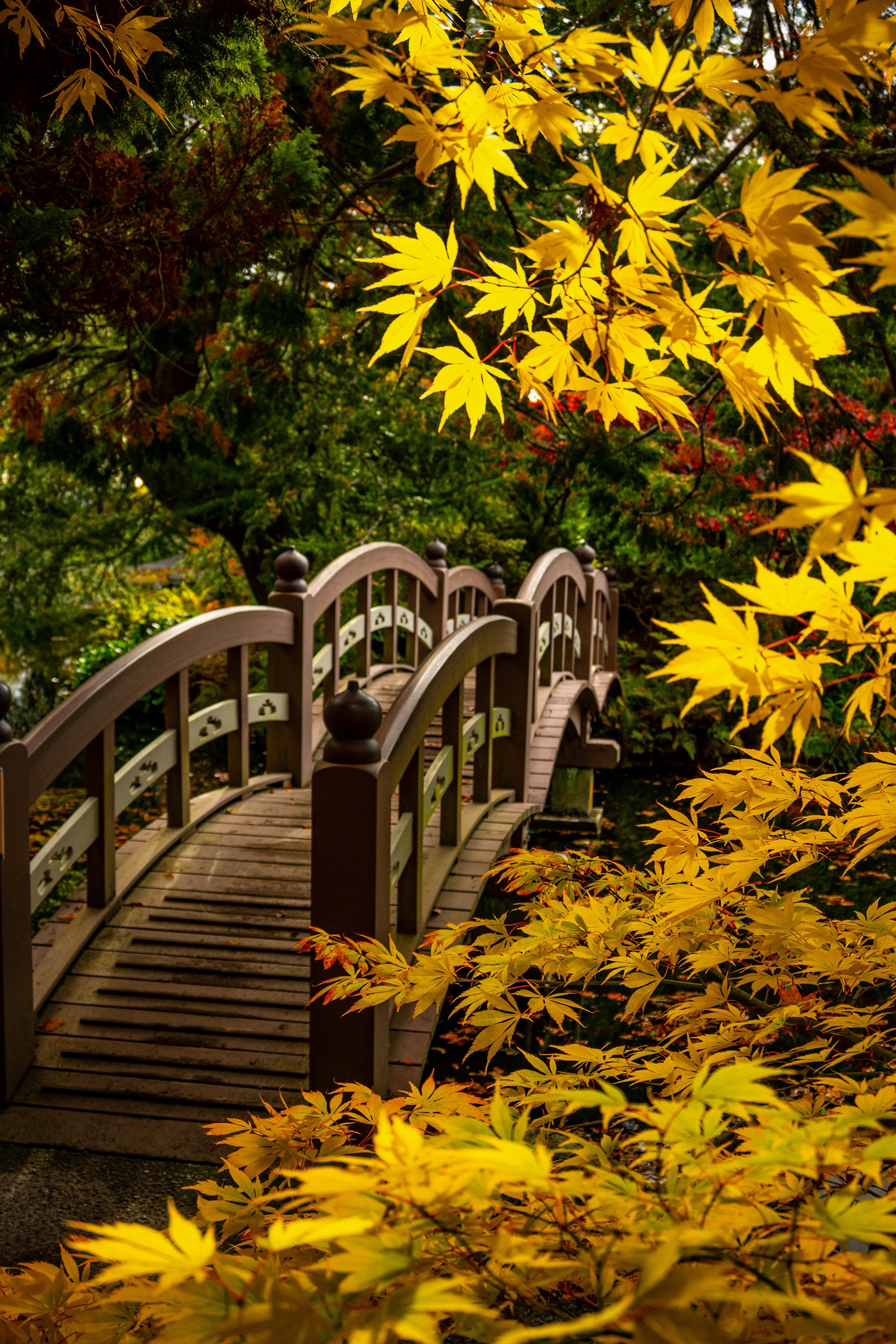 Hatley Castle Japanese Garden, Vancouver Island