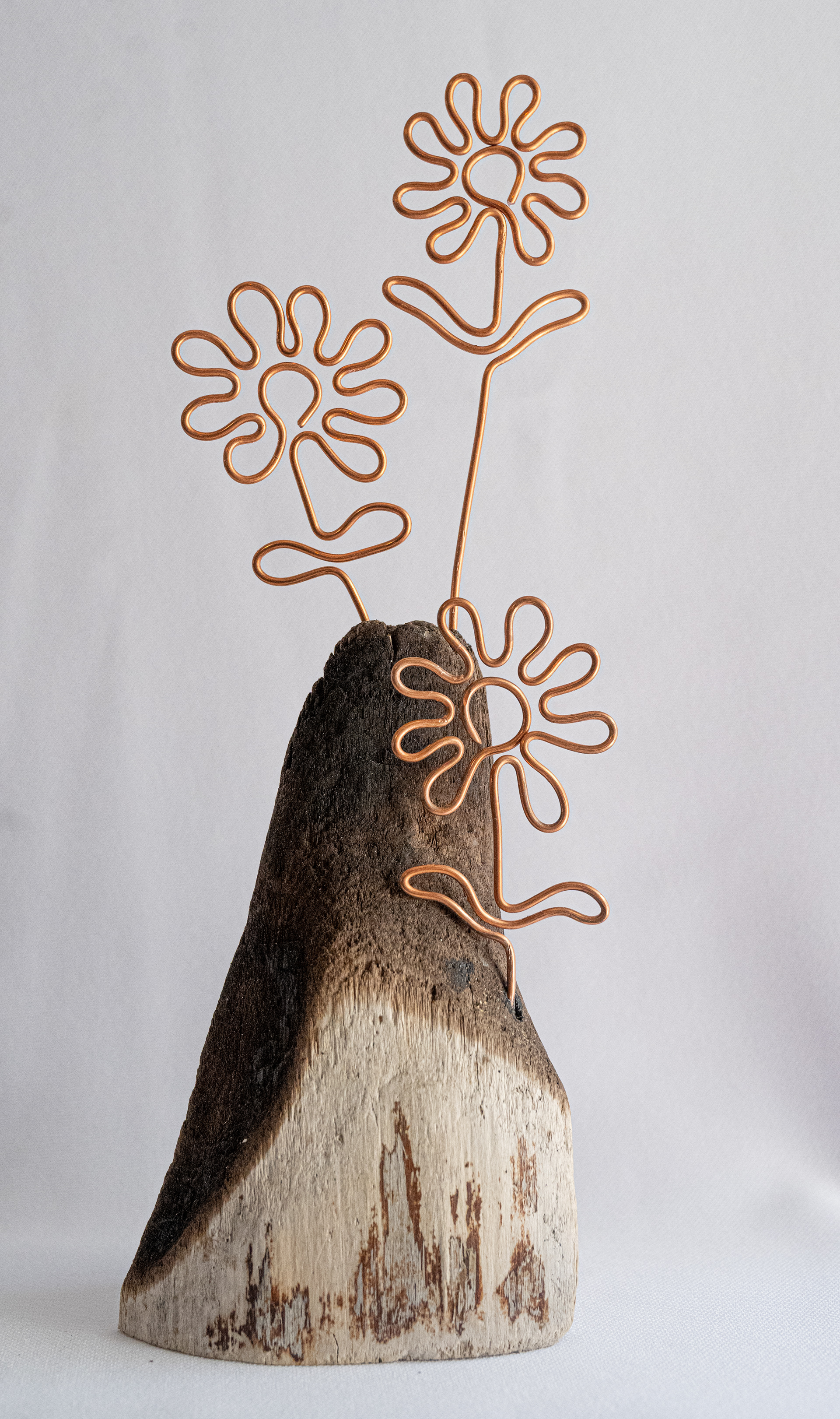 "Fireside", 3w x 2d x 9h, copper flowers on Vancouver Island driftwood, $55