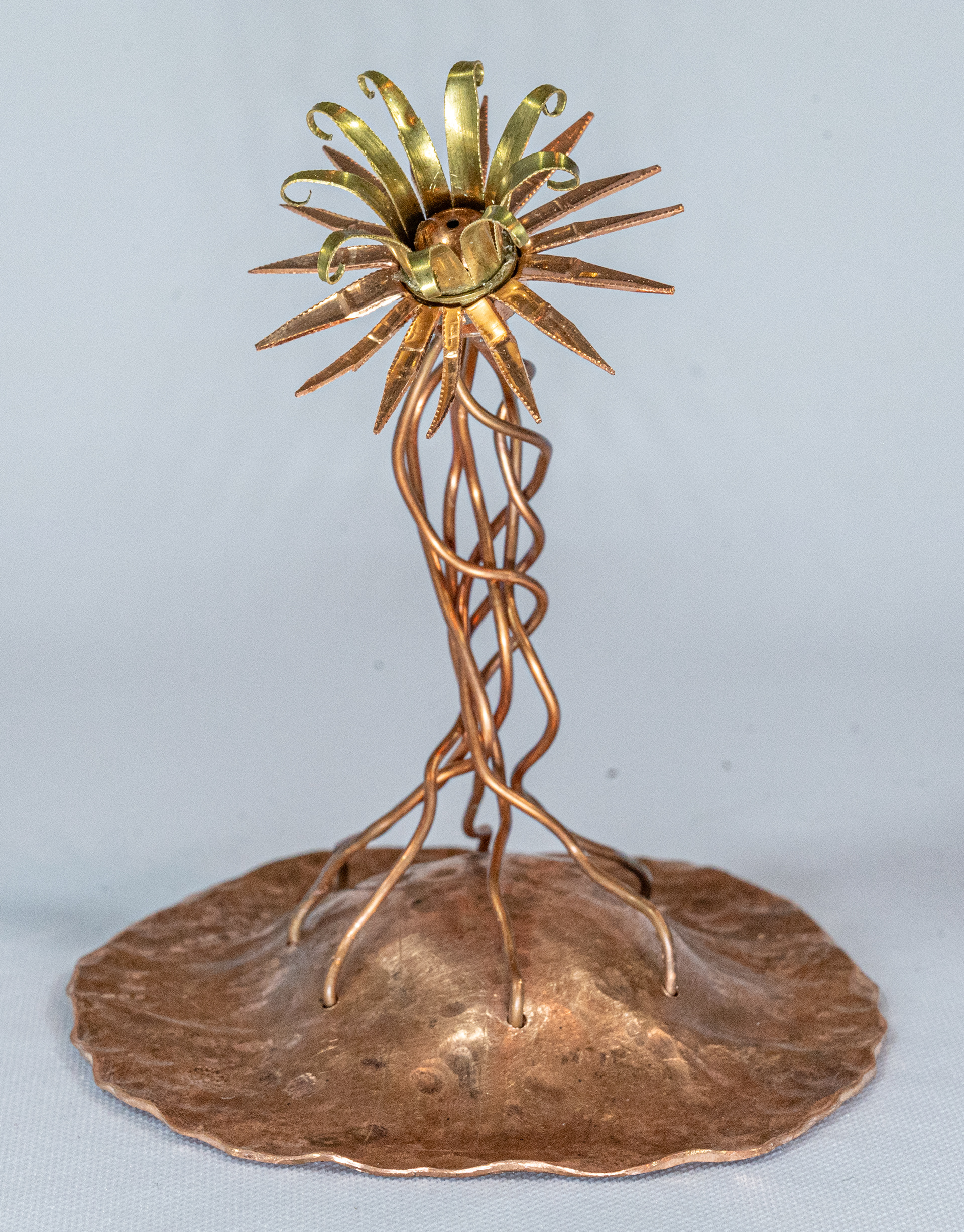 "Twisted Growth" is a brass and copper flower on a hammered copper base, 4 inches wide x 4 inches deep x 5 inches high, $55
