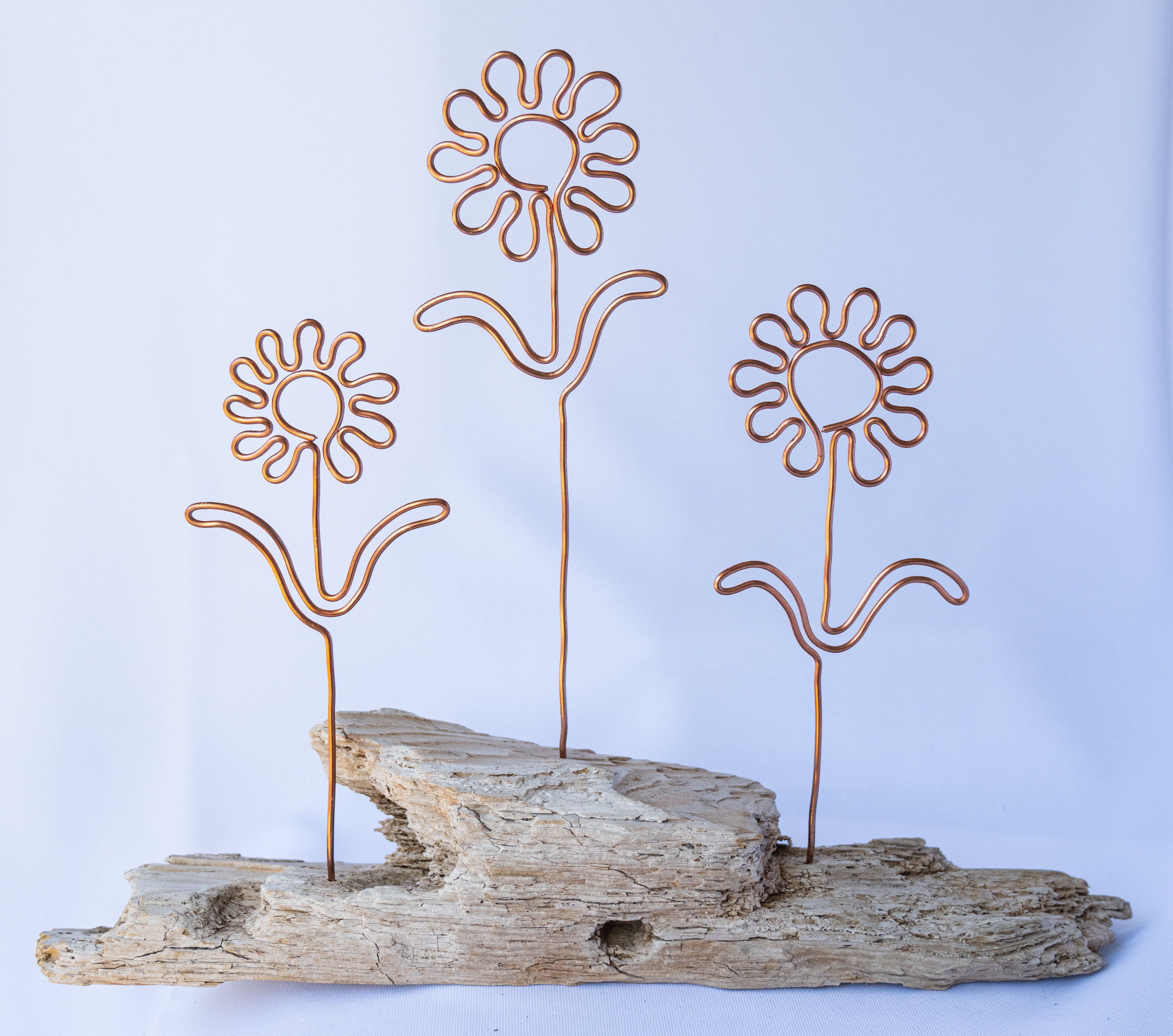 "Chloe", 12.5 x 2.75 x 10, has 3 copper flowers set into Vancouver Island driftwood, $55