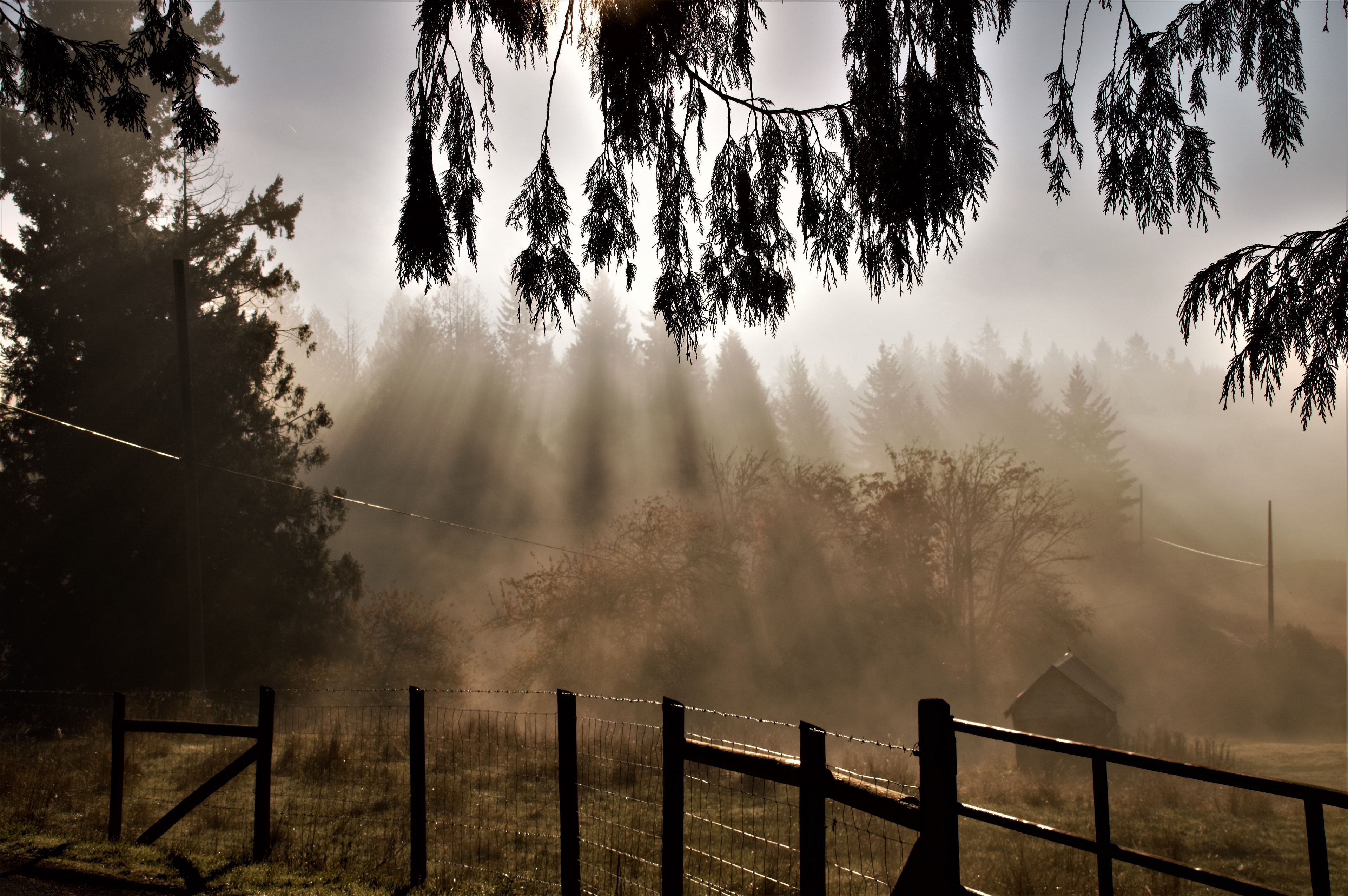 Winter day, Vancouver Island