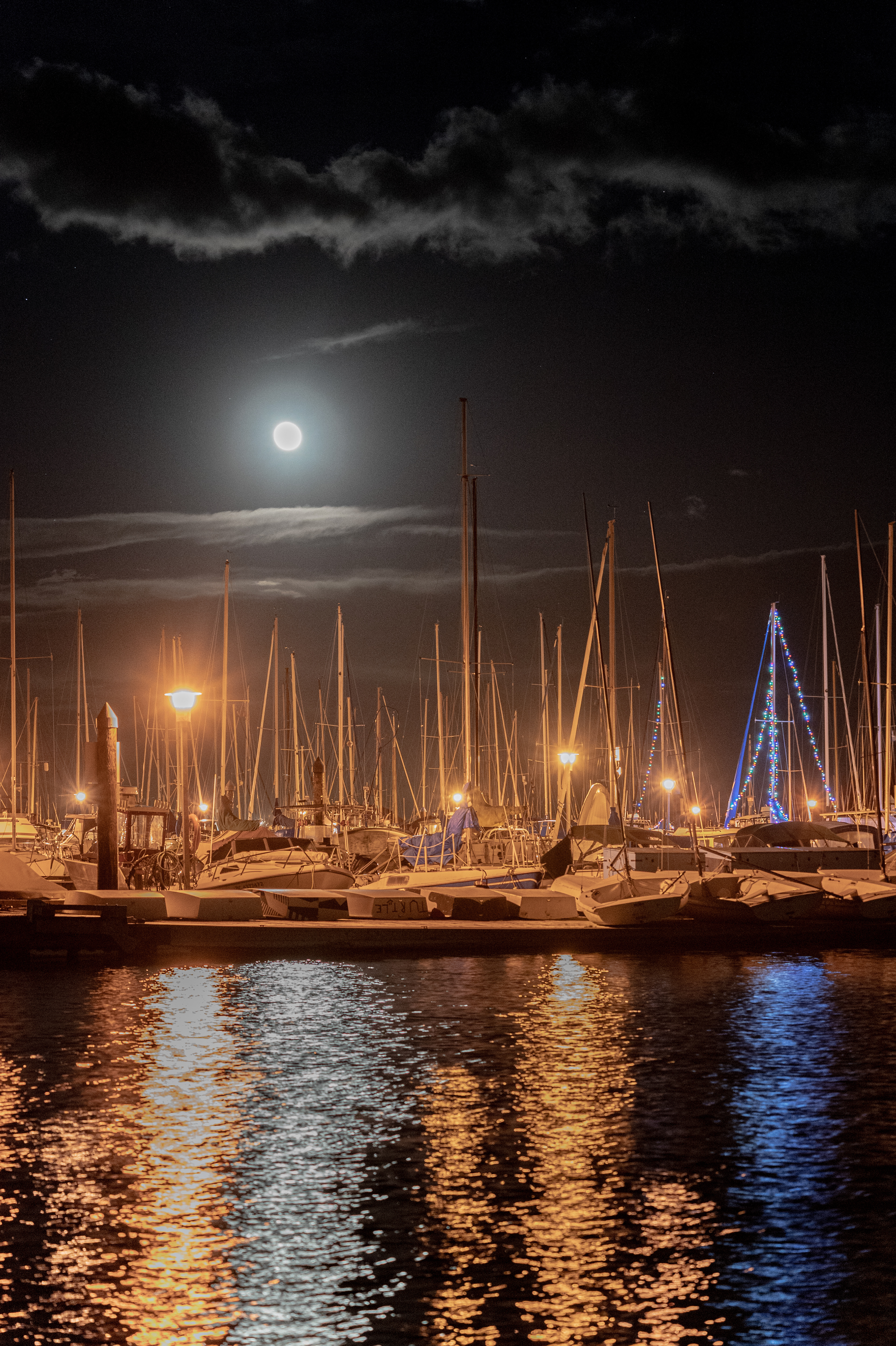Oak Bay December moon.