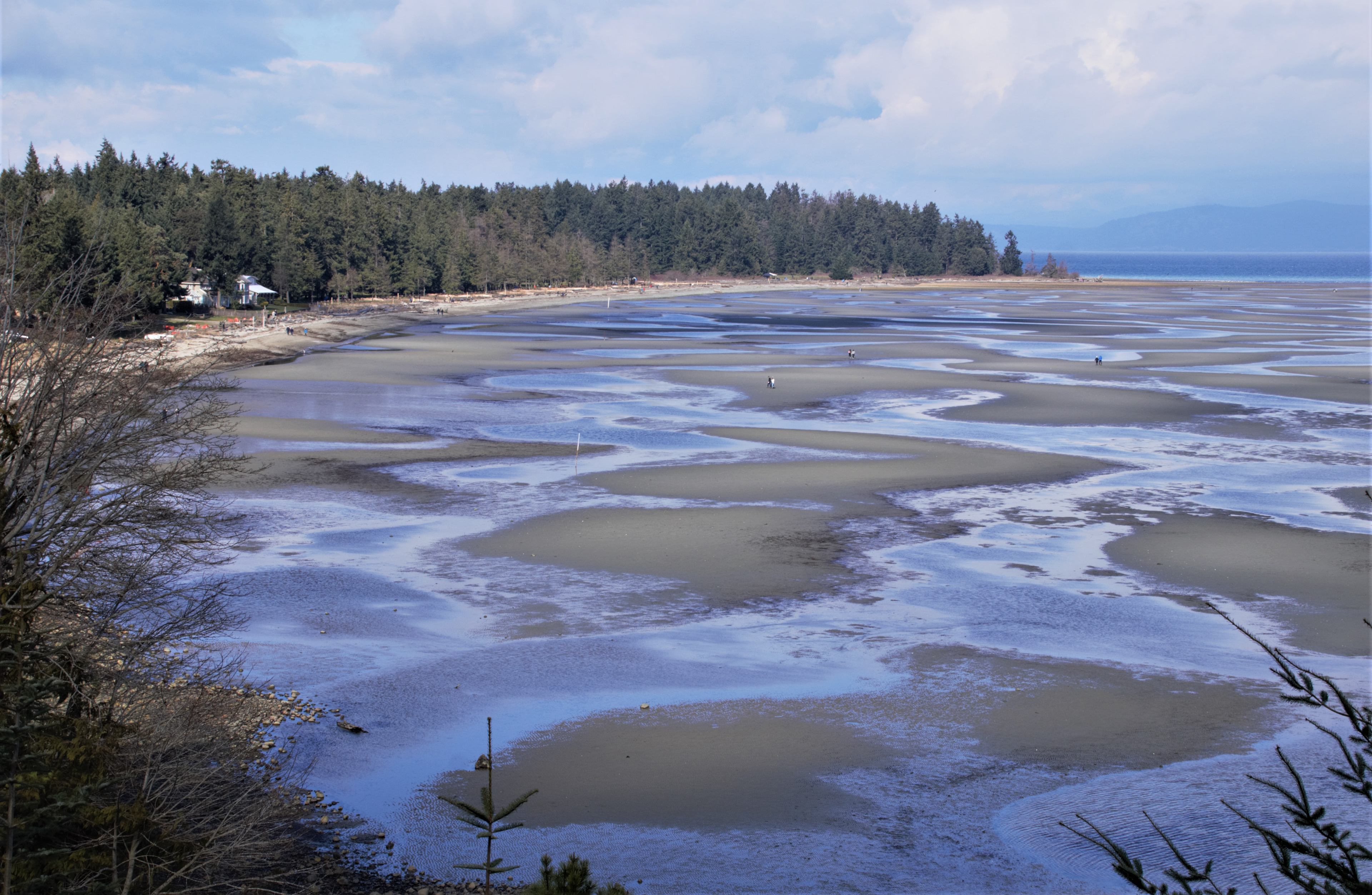 Rathtrevor Beach, Vancouver Island
