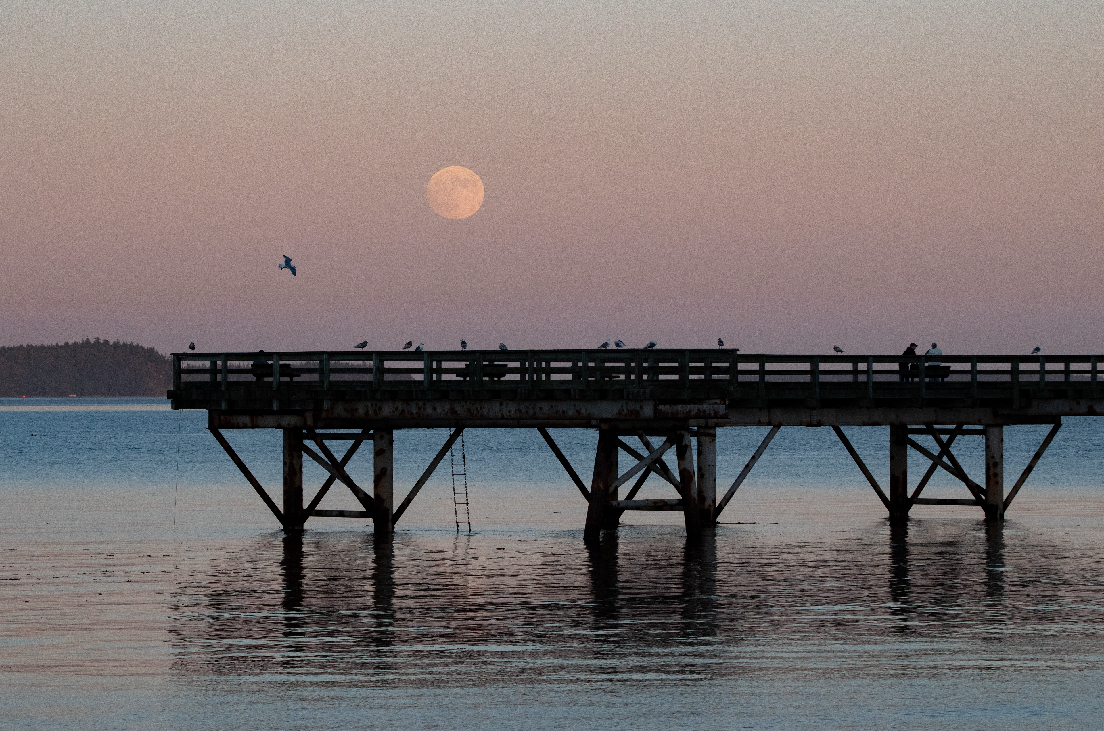 Moon over the pier in Sidney by the Sea.