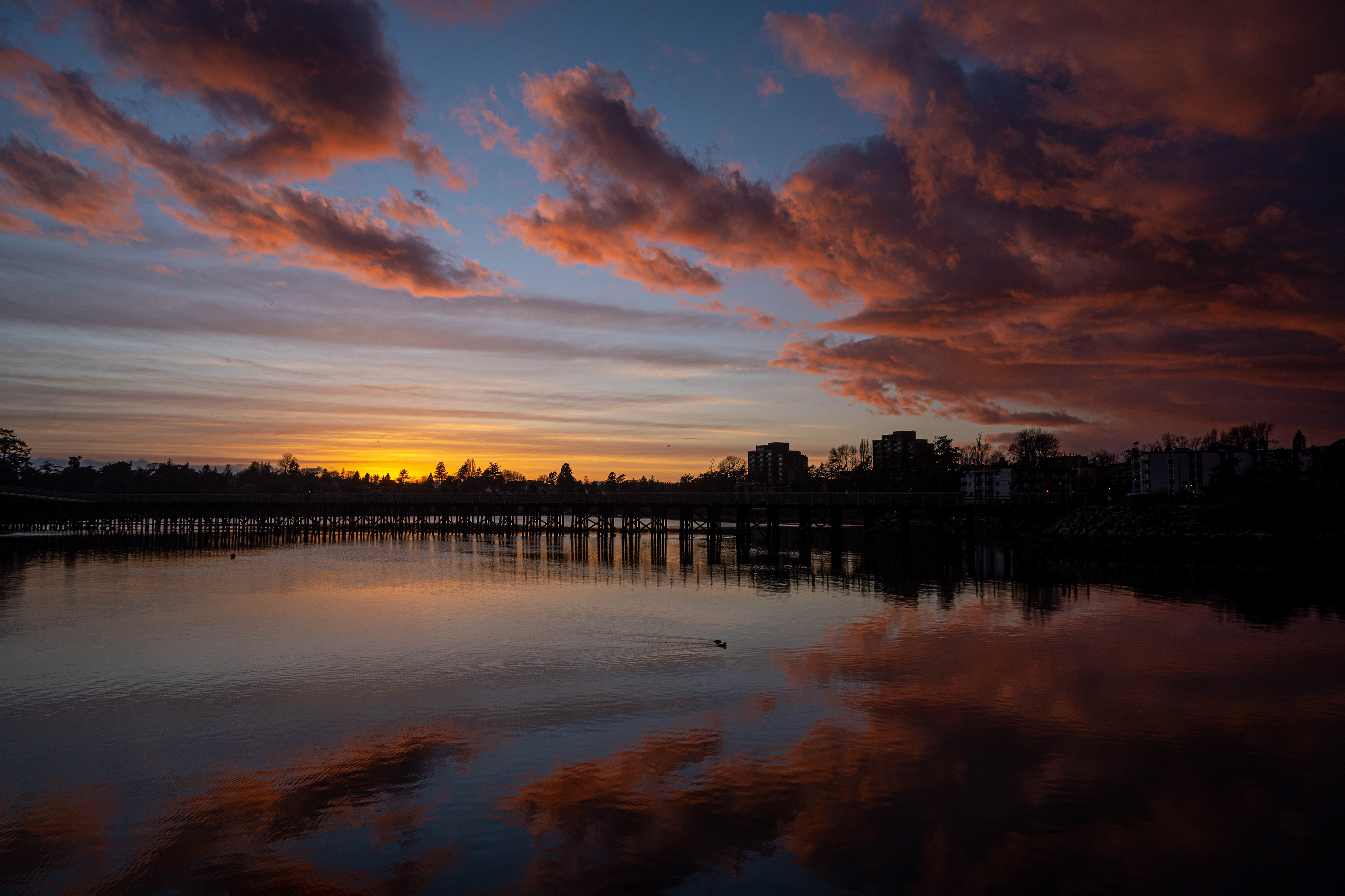Selkirk Trestle sky, Vancouver Island
