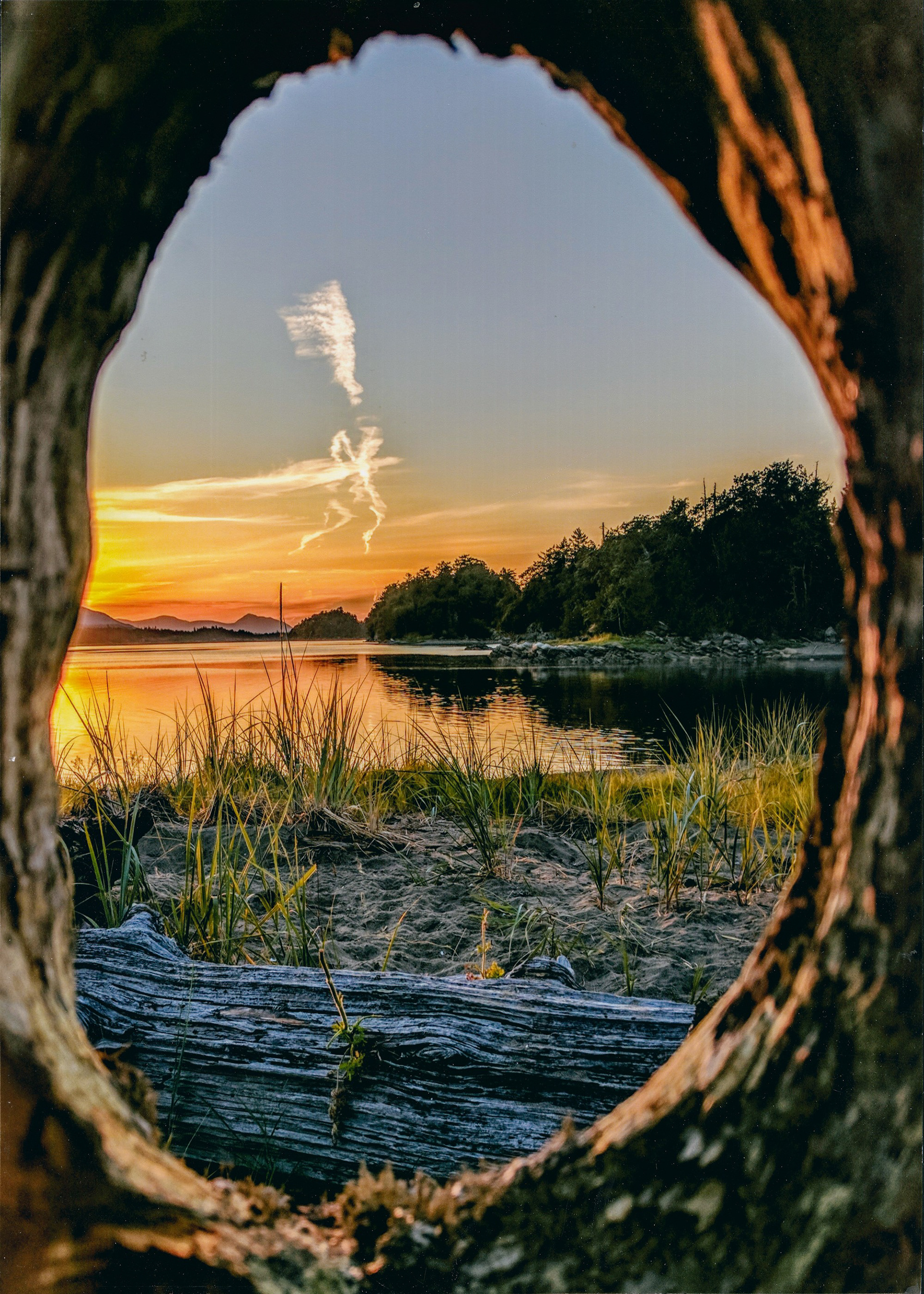 Angel Overhead, Vancouver Island, Photo by Marty Borsboom