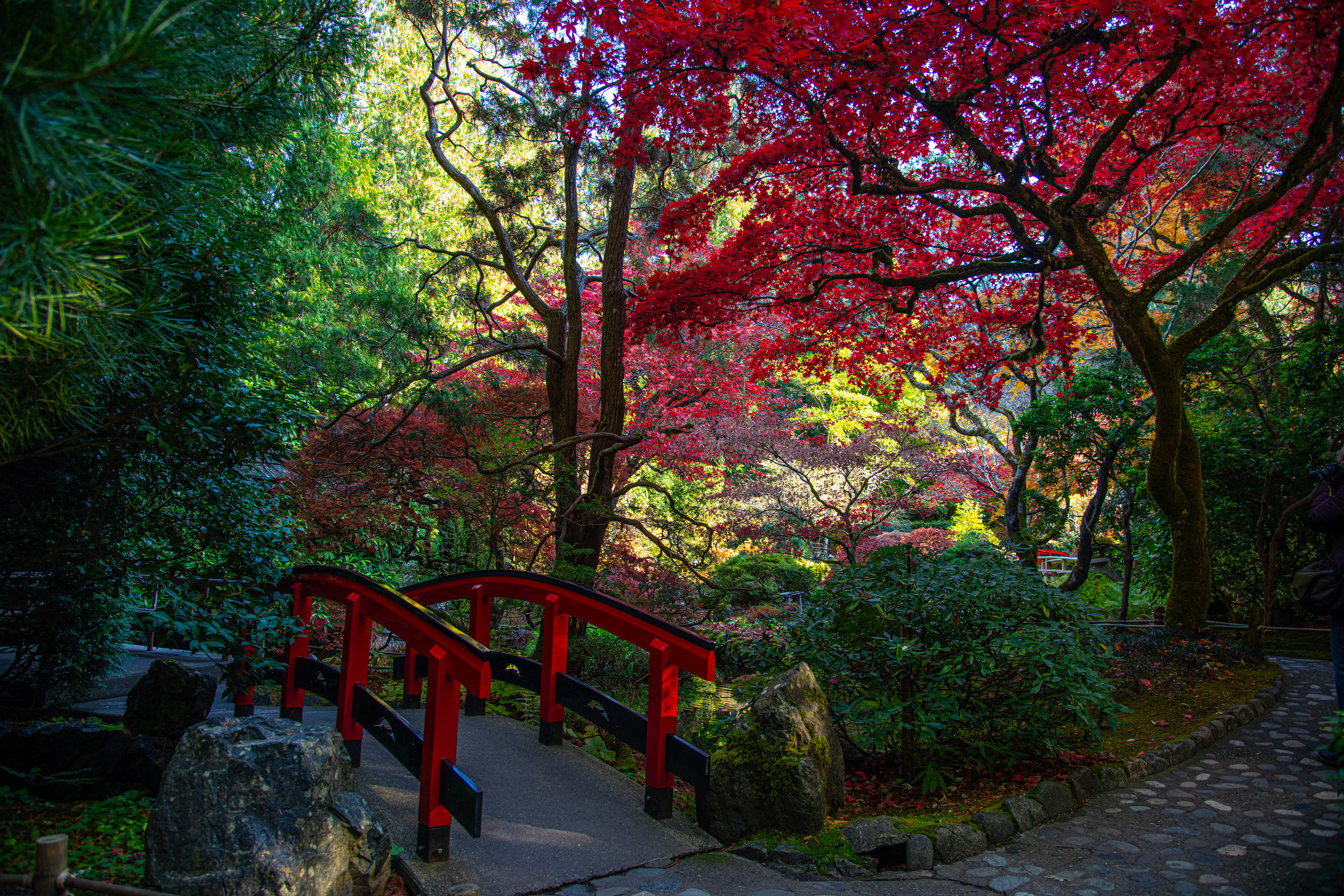 Fall at Butchart Gardens, Vancouver Island