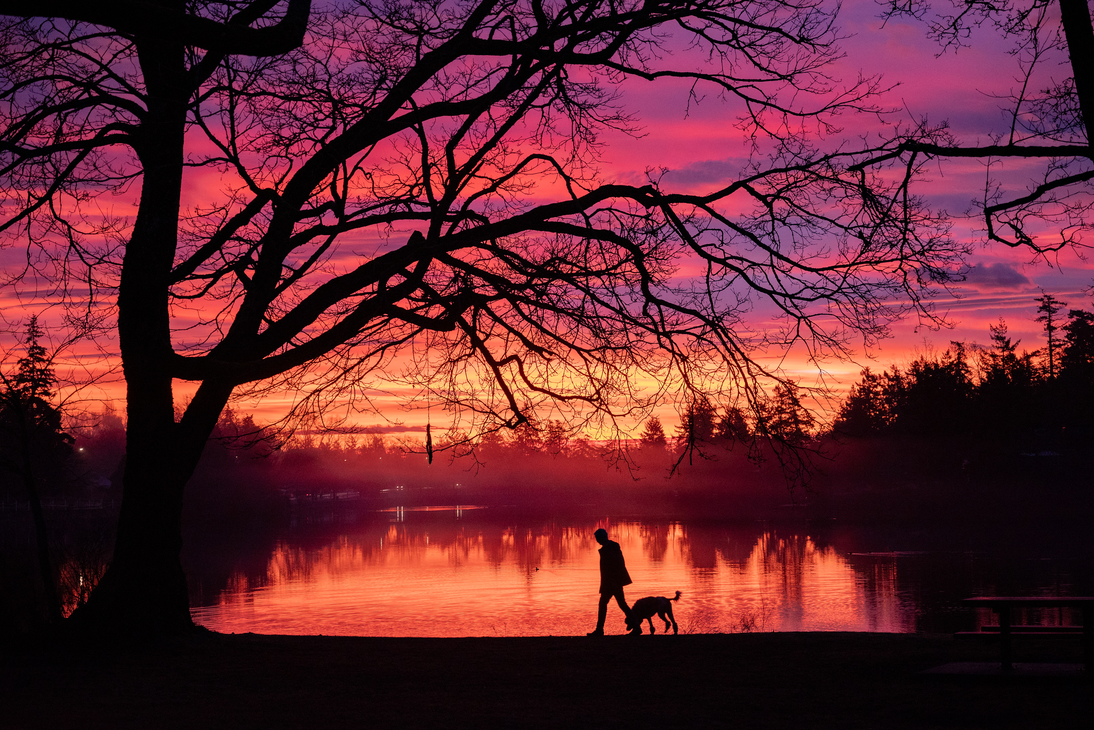 Gorge Waterway, Vancouver Island