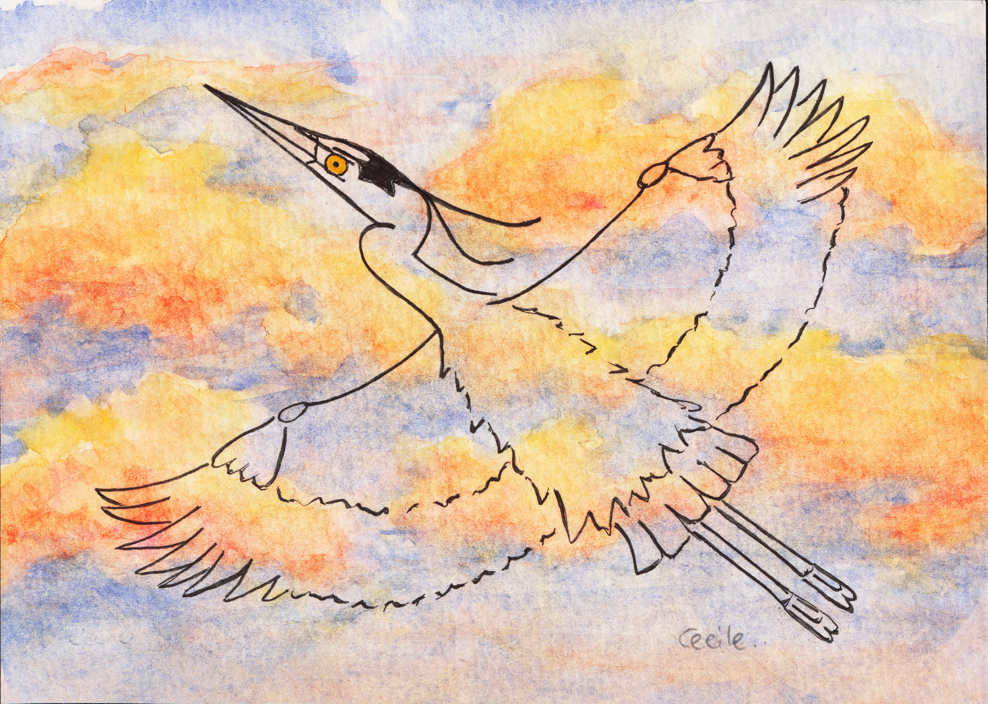 Great Blue Heron in a Sunset Sky, original artwork by Cecile Brisebois Guillemot