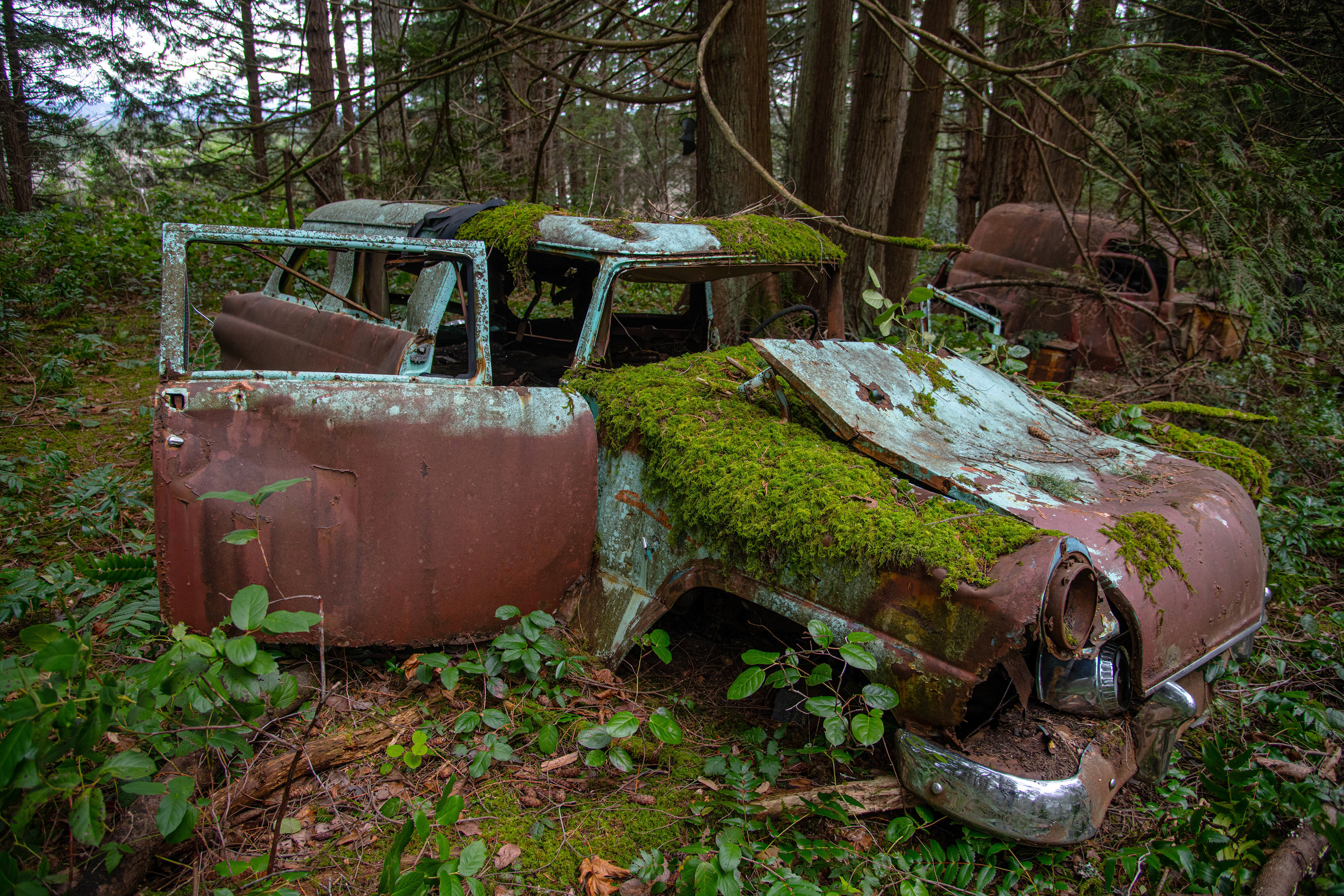 Lost in Time, Vancouver Island