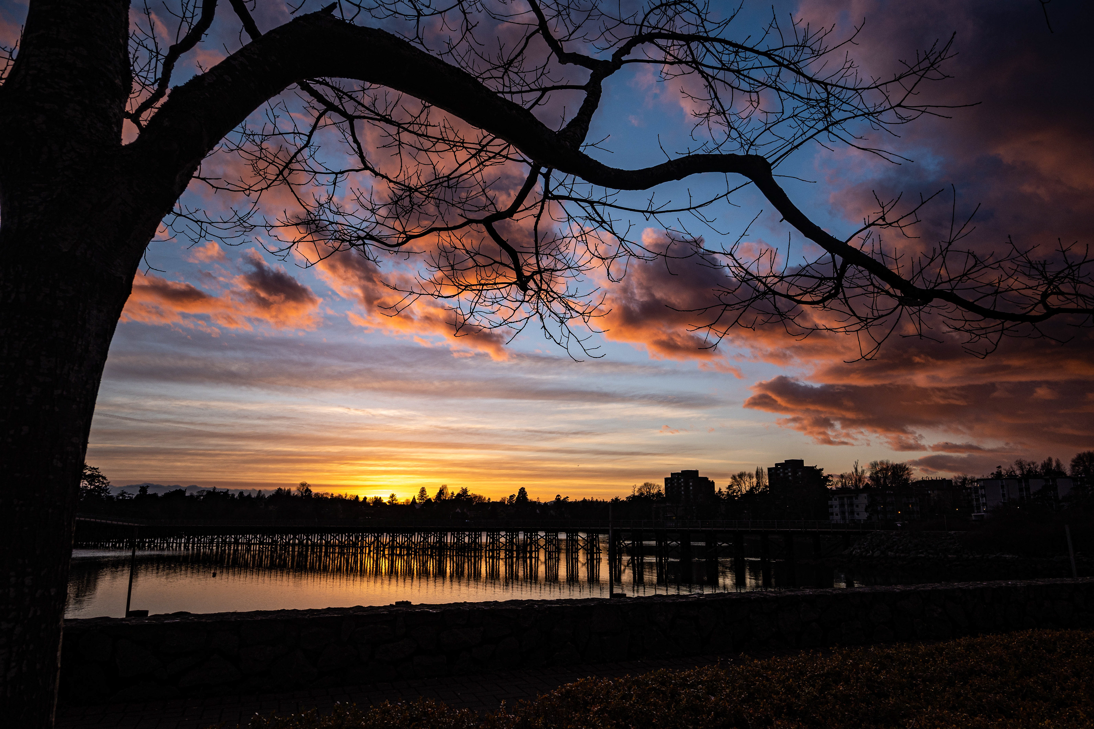 Selkirk Trestle sky, Vancouver Island