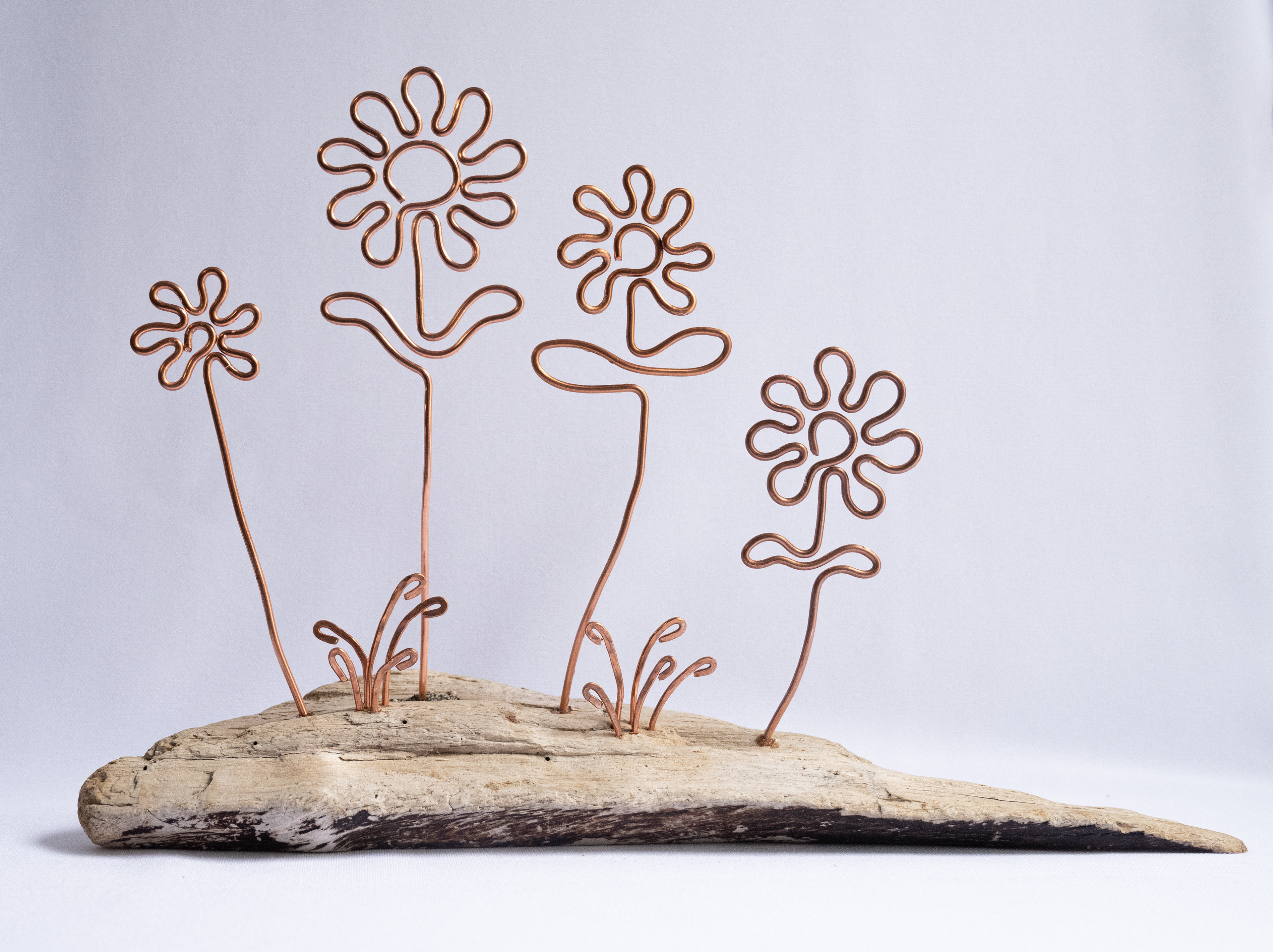"Oh Daisy", 11w x 7.75h x 2.5d, copper flowers set into Vancouver Island driftwood, $55