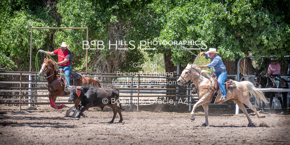 DiaB - 0410 - 82