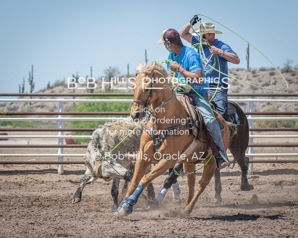 DiaB - 0417 - 84