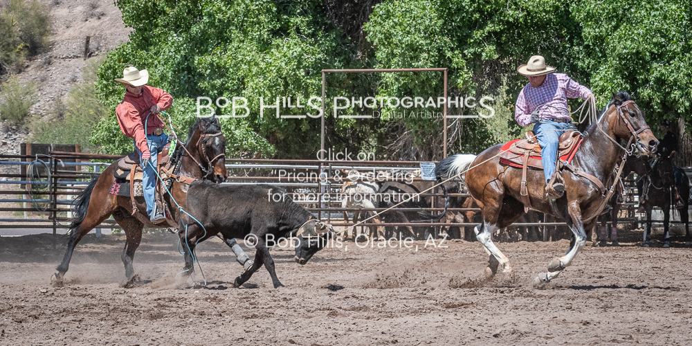 DiaB - 0424 - 73