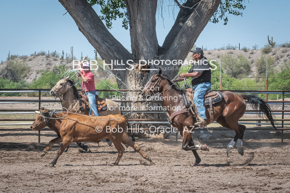 DiaB - 0424 - 42