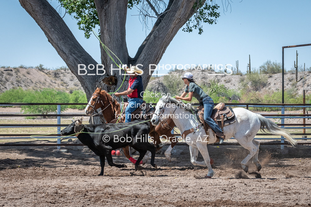 DiaB - 0410 - 43