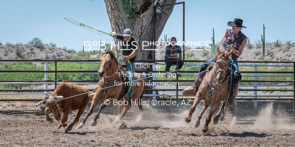 DiaB - 0410 - 117