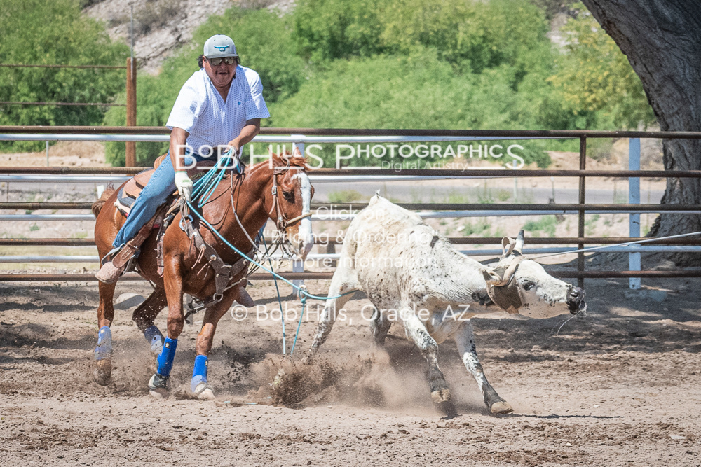 DiaB - 0424 - 87