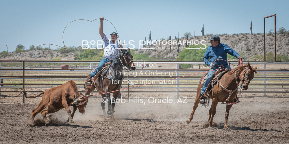 DiaB - 0417 - 168