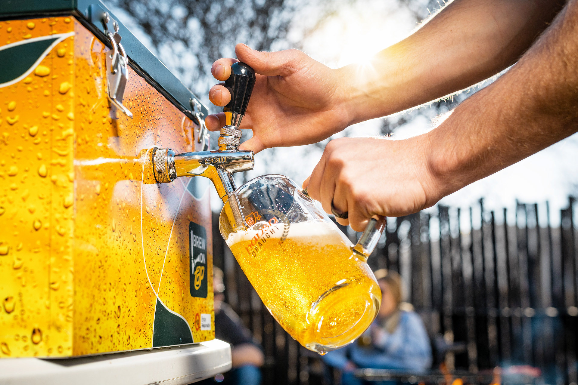 photography of hansa draught BOT