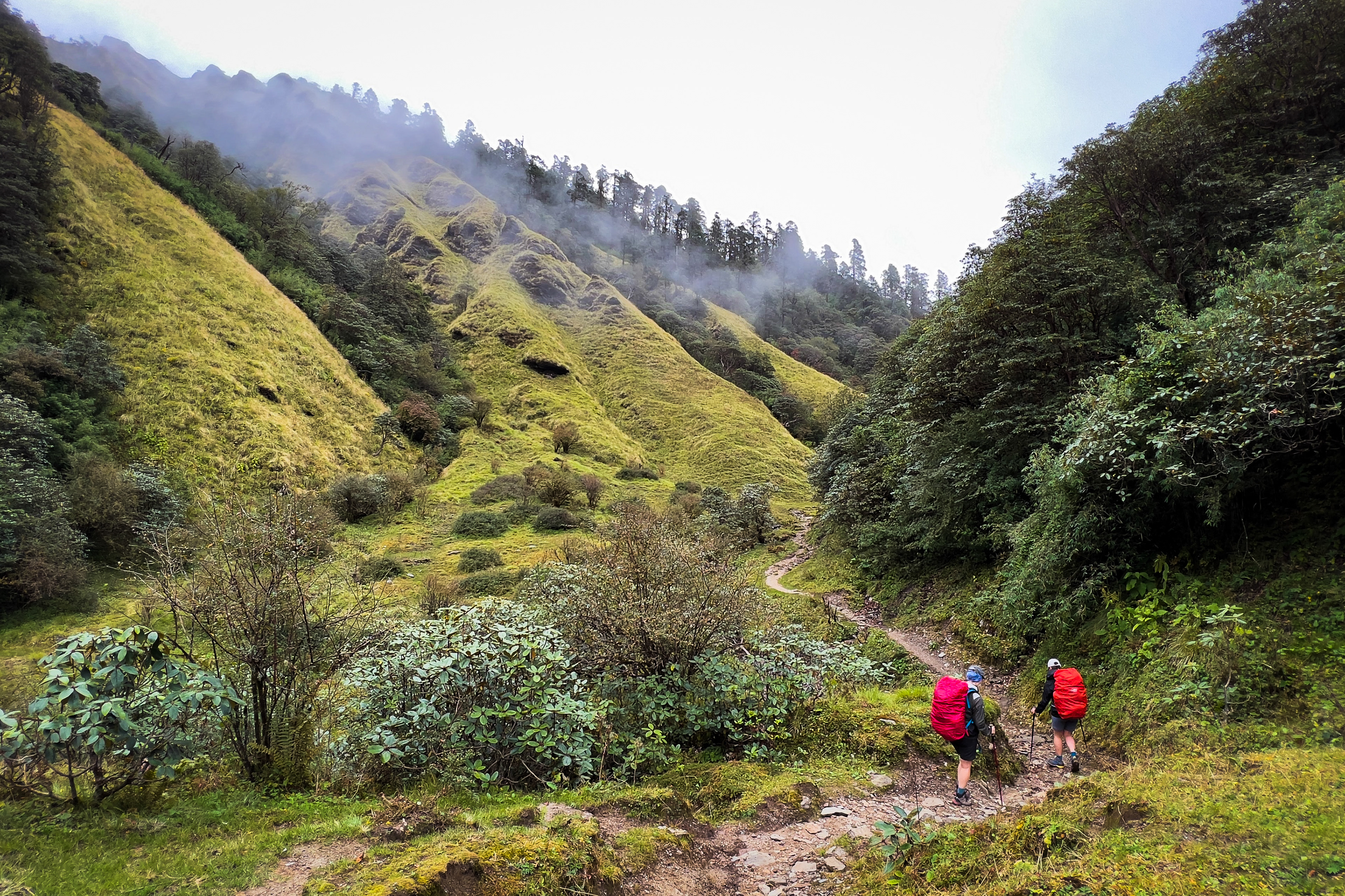 Dobato and trail chase in Annapurna