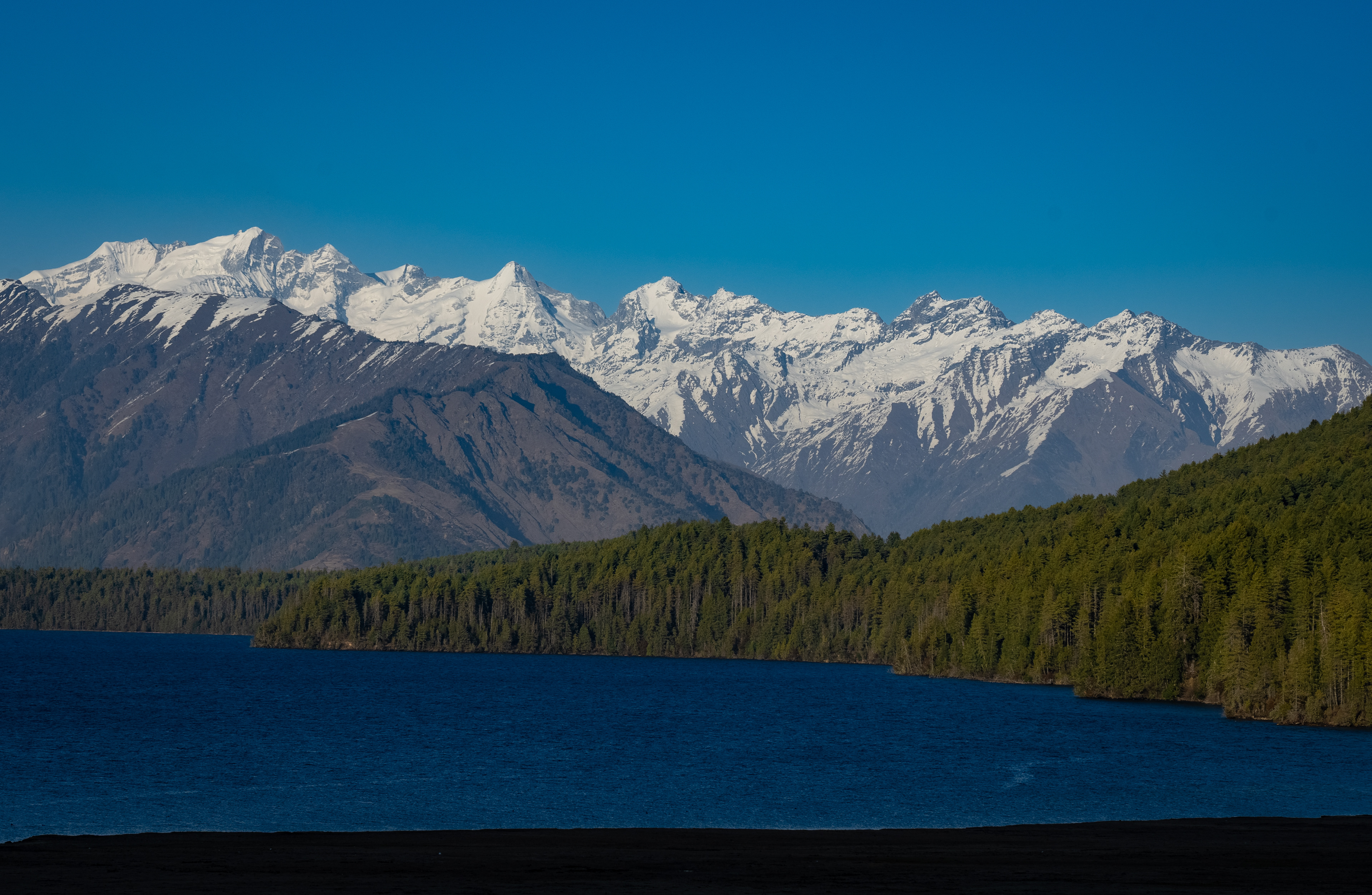 Rara hues