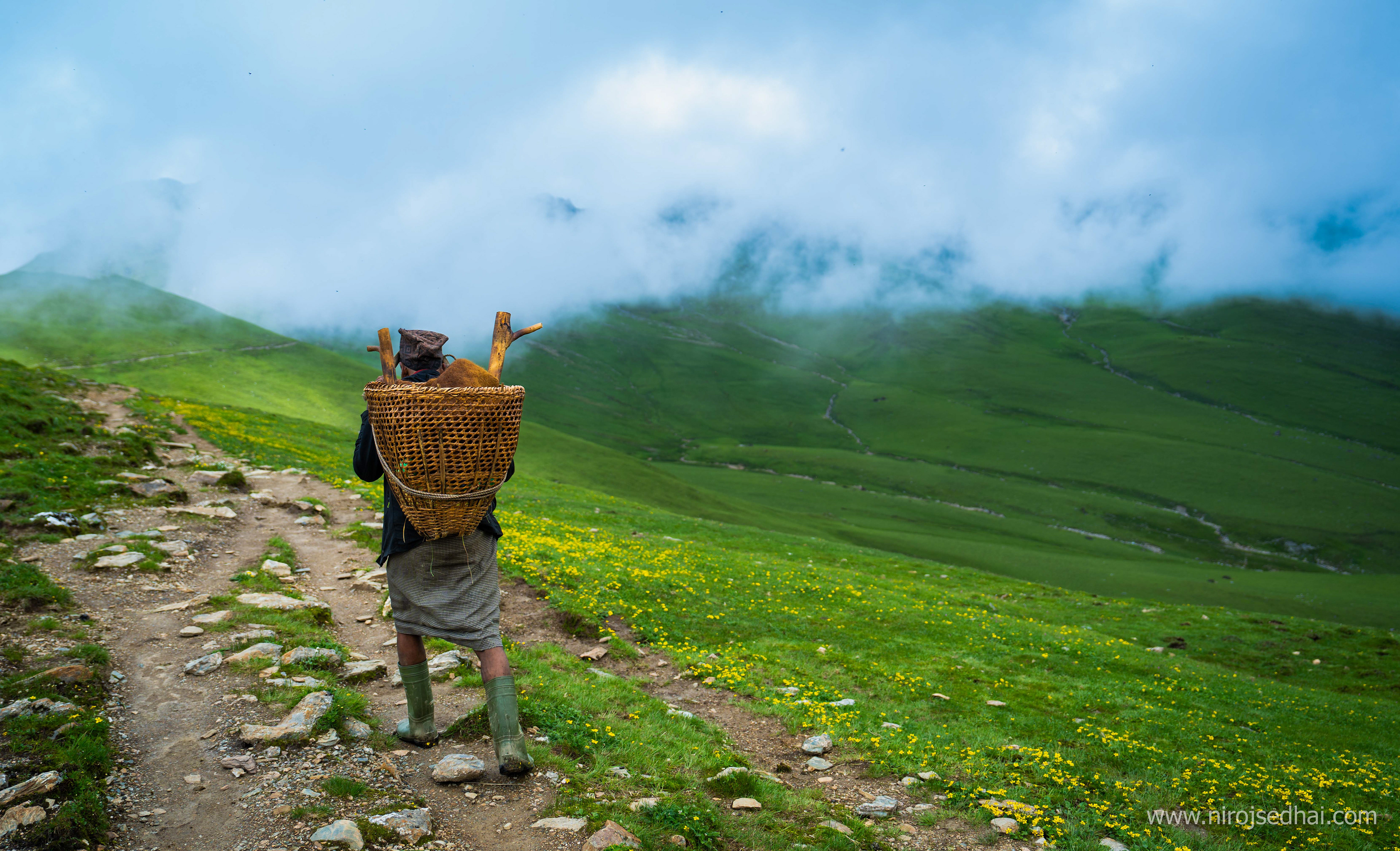 Shepherd of Dhuk kharka