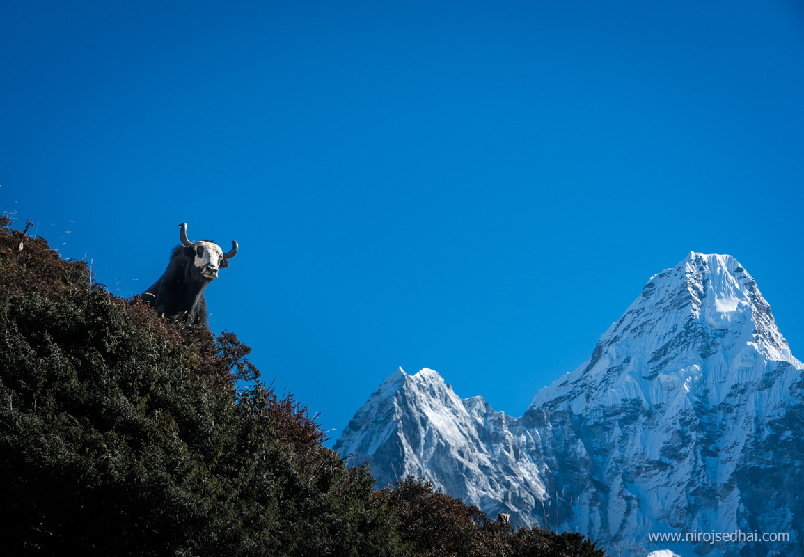 Pangboche village shine