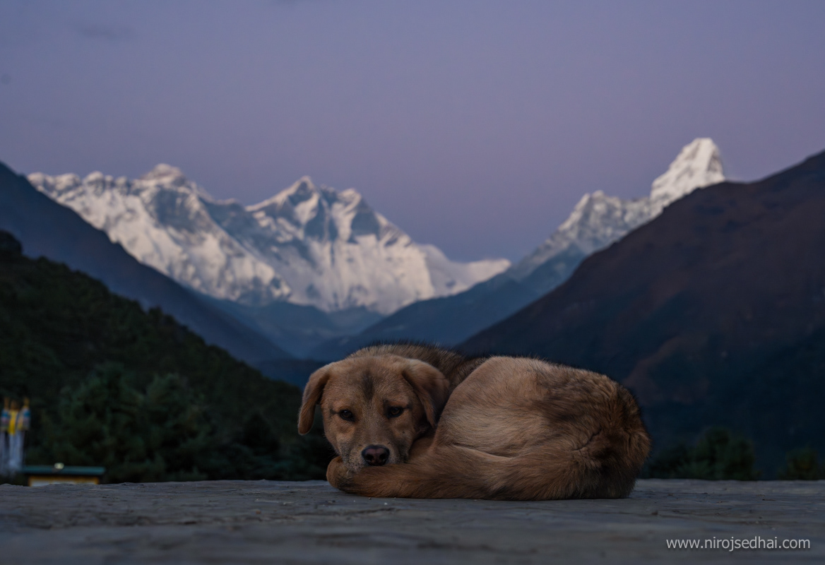 Alpine glow on Everest and Amadablam