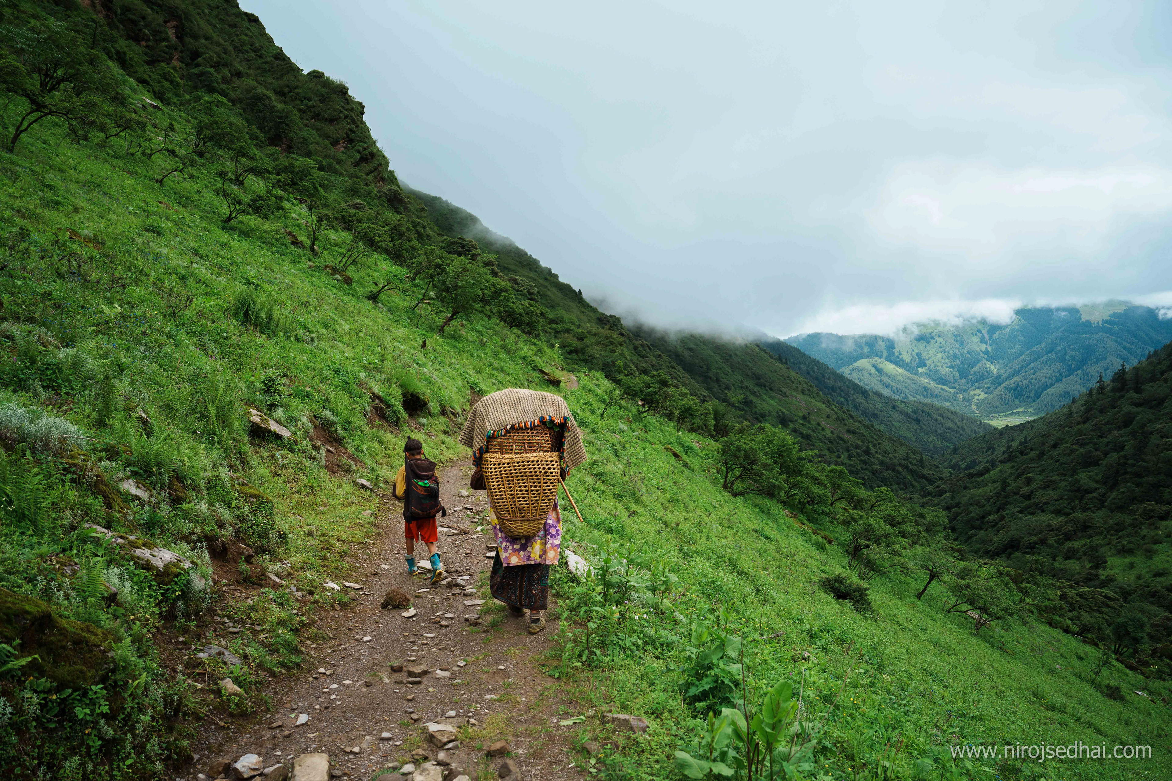 Wife of a shepherd coming down from the pastureland to Dhorpatan civilization