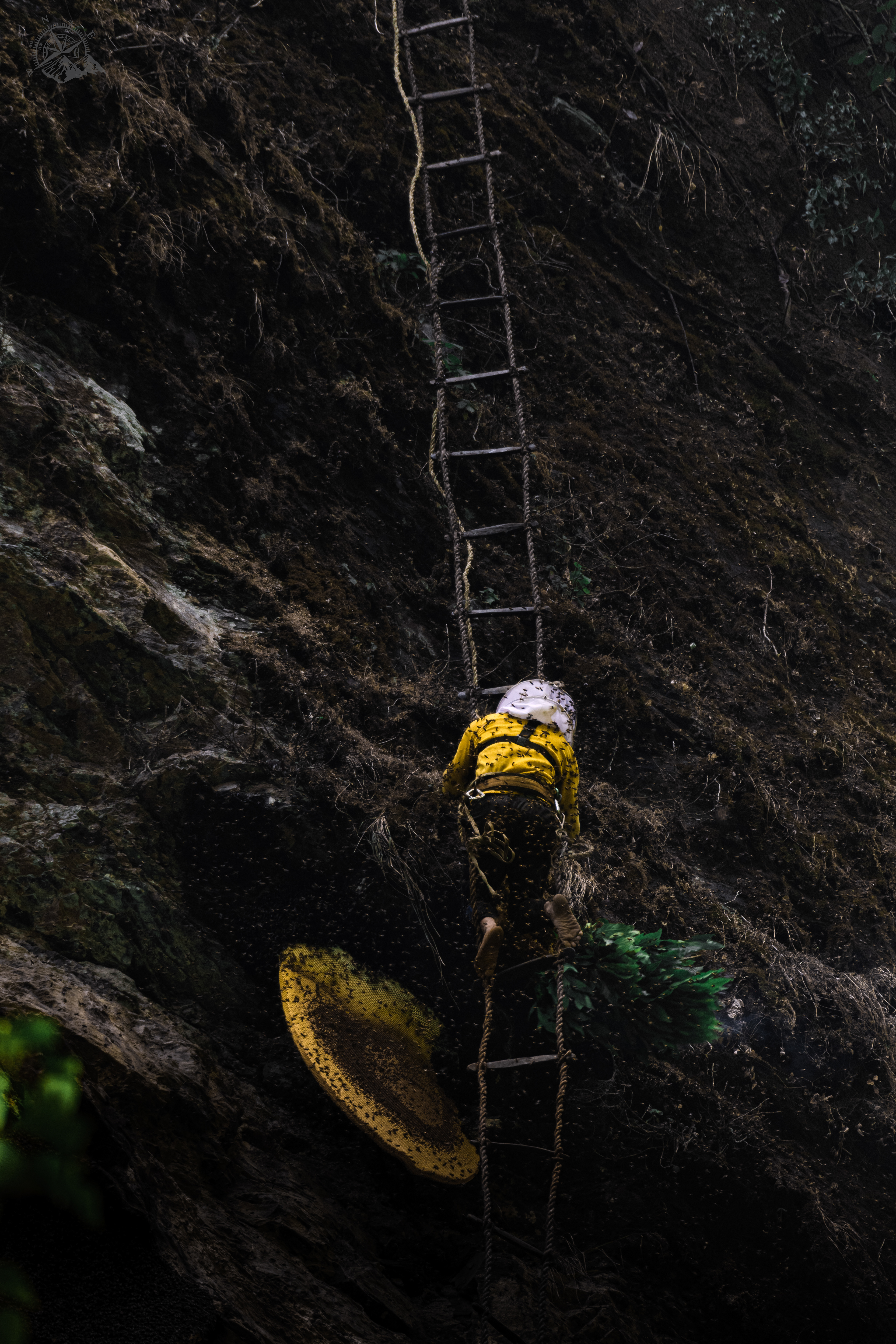 Honey Hunter in the cliffs of Lamjung