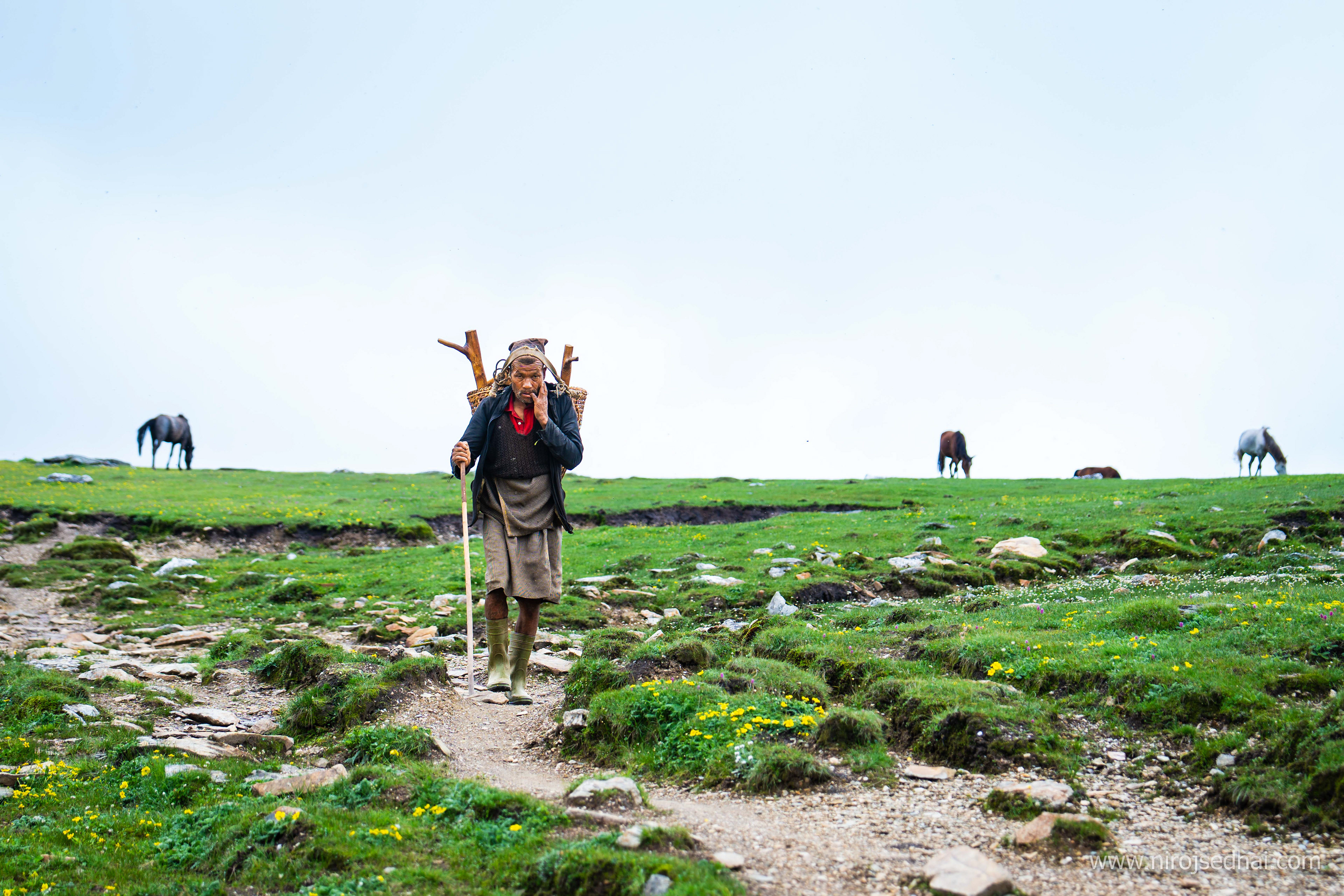 Shepherd of Tikdhara