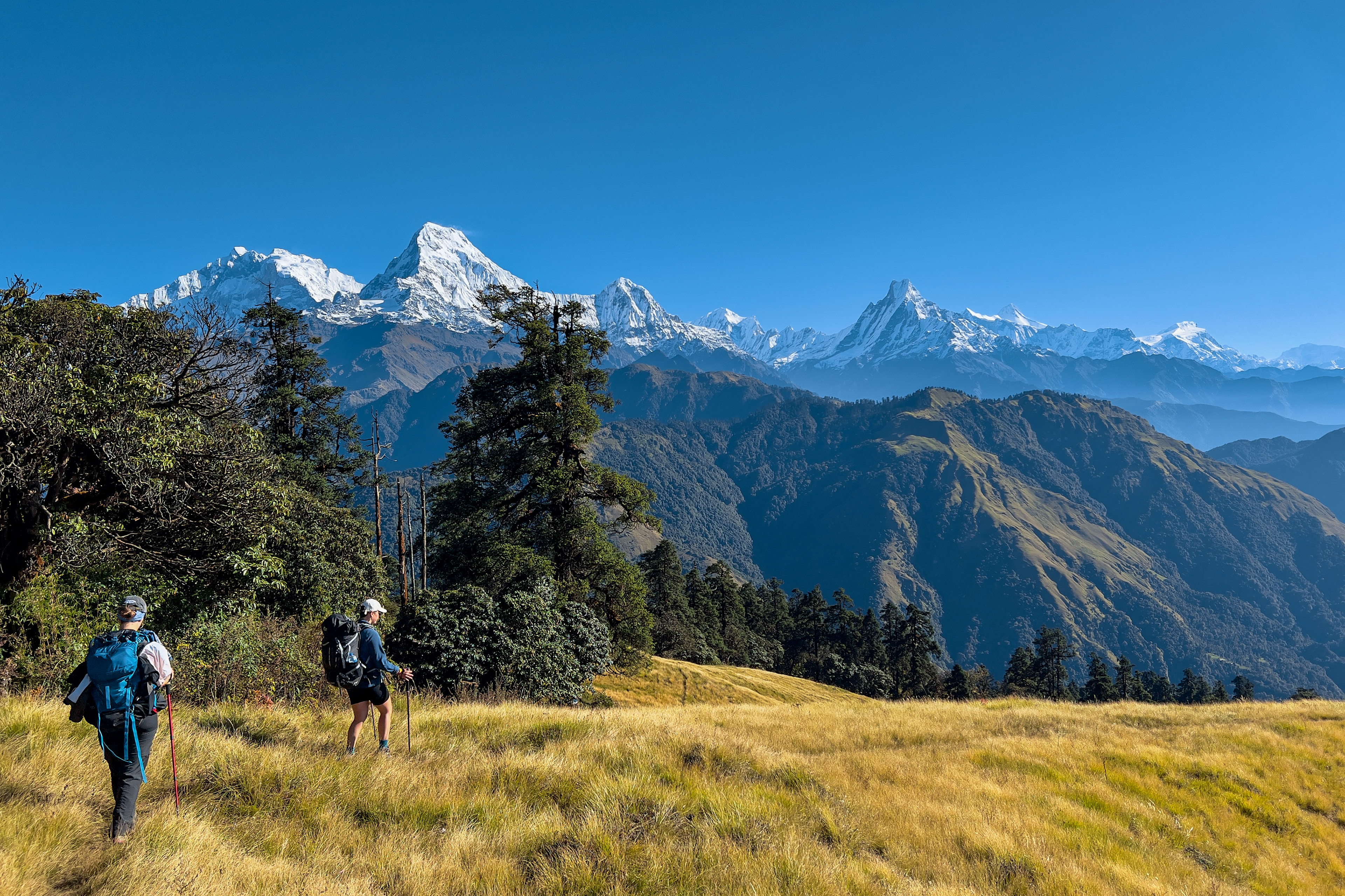 Kokhe viewpoint trail descend