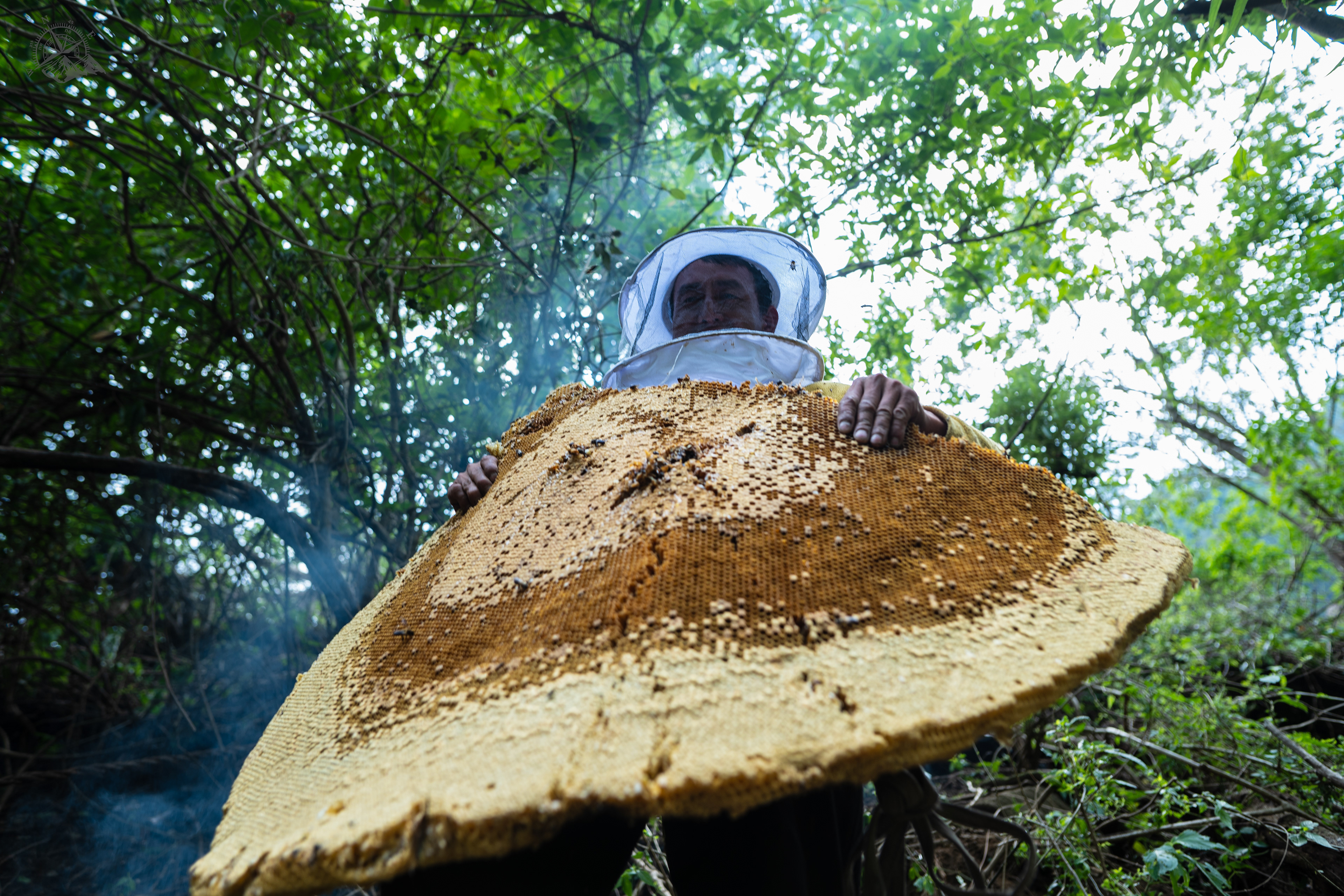 Honey comb and hunter from Lamjung