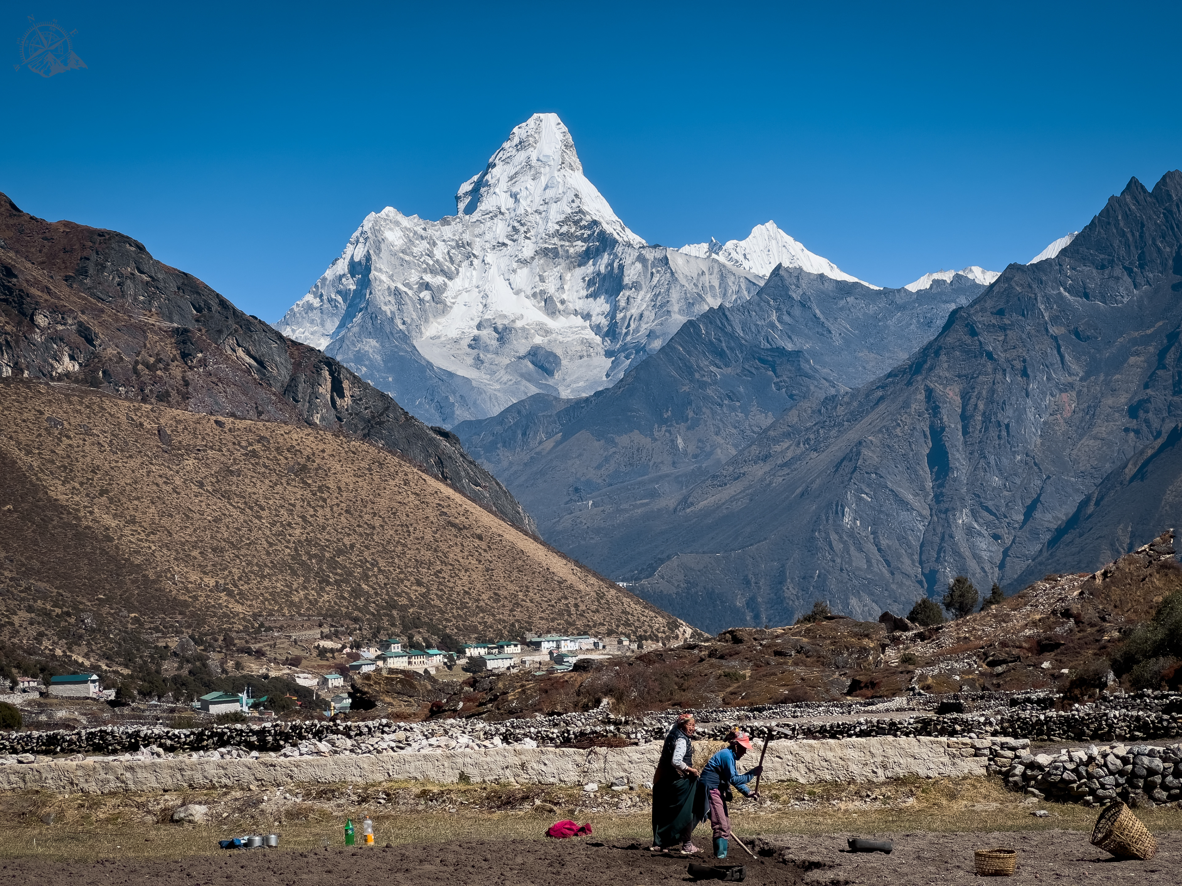 Potato harvesting in Everest region
