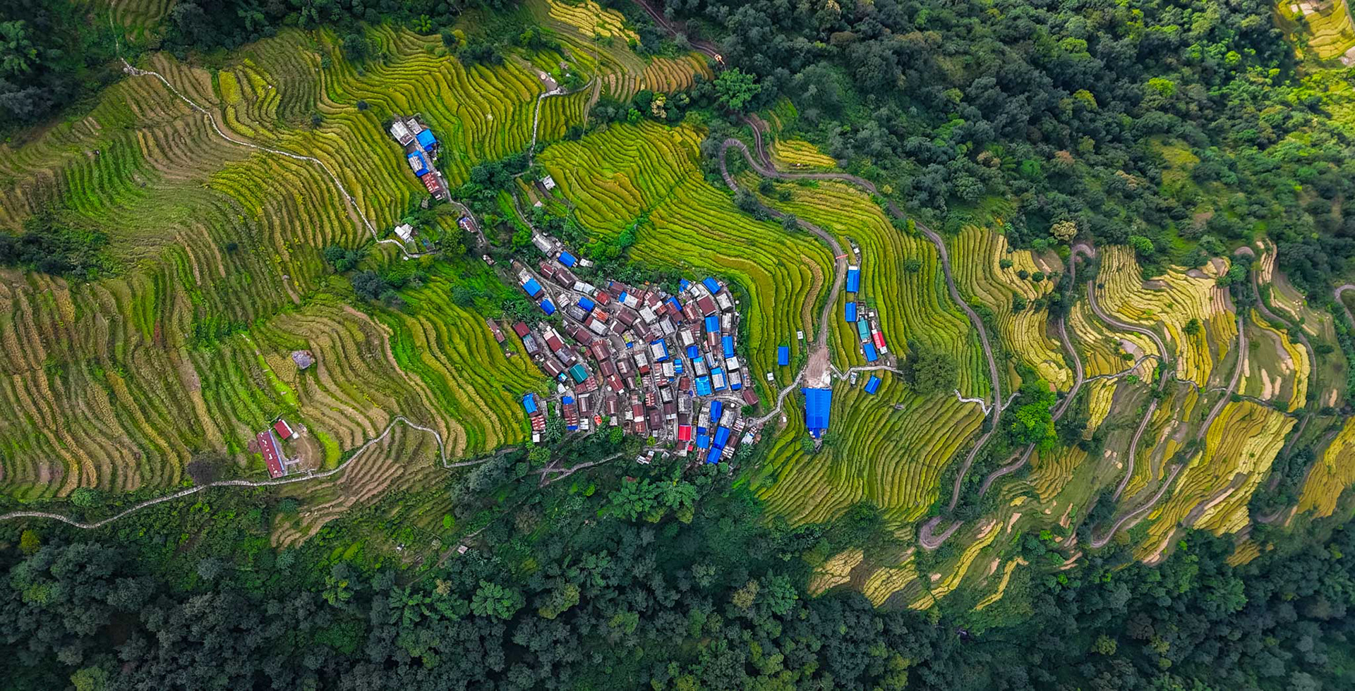 Paddy fields of Lamjung