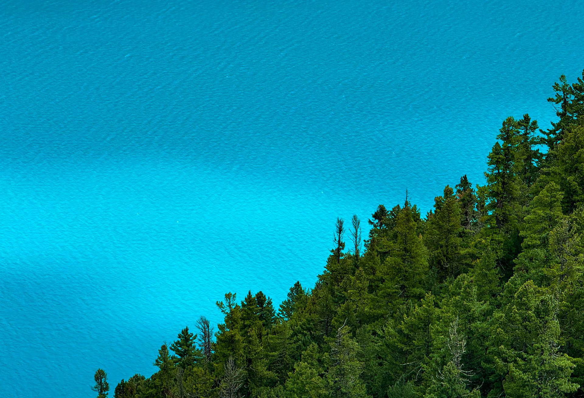 Pristine blue of Shey phoksundo lake