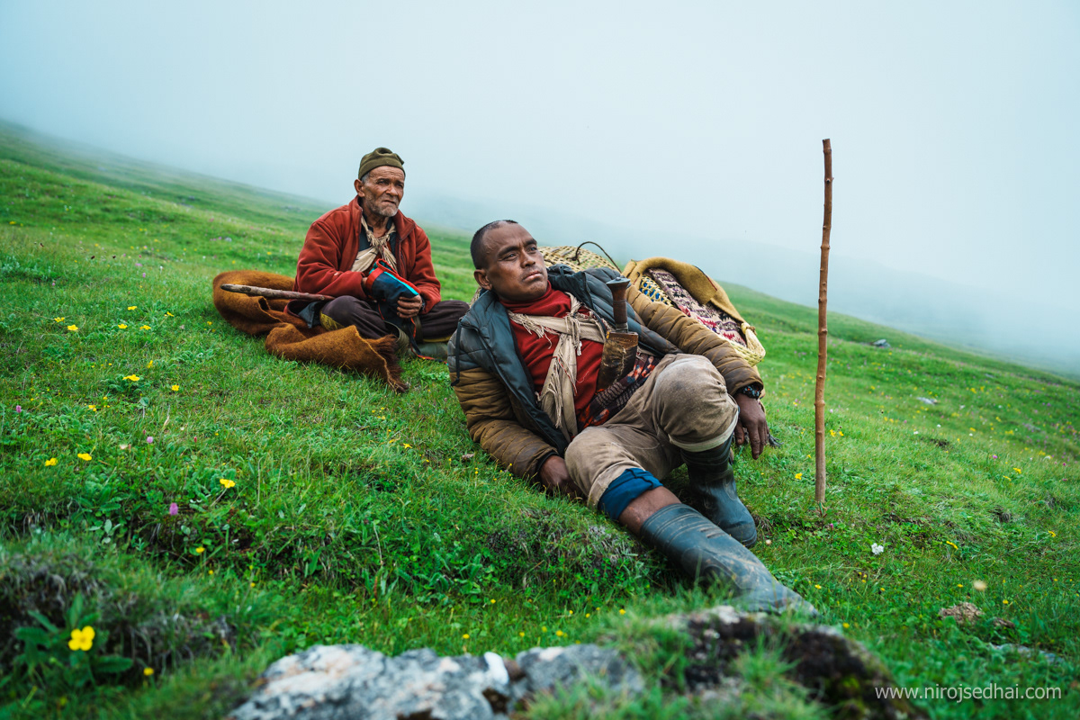 Shepherd from Dhorpatan hunting reserve, Rukum and Myagdi section