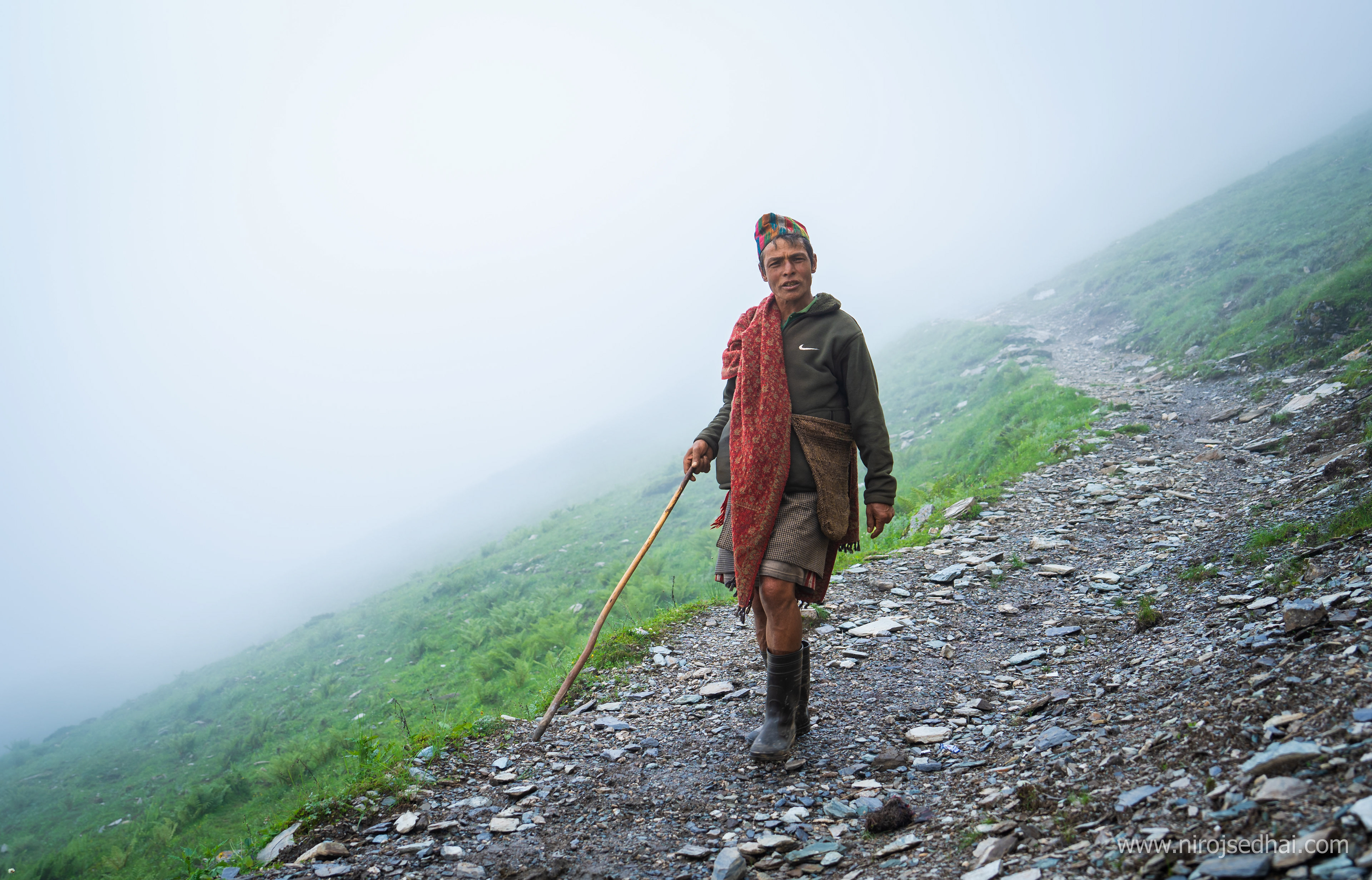 Mule owner coming down to civilization after supplying the essentials in pastureland for shepherds