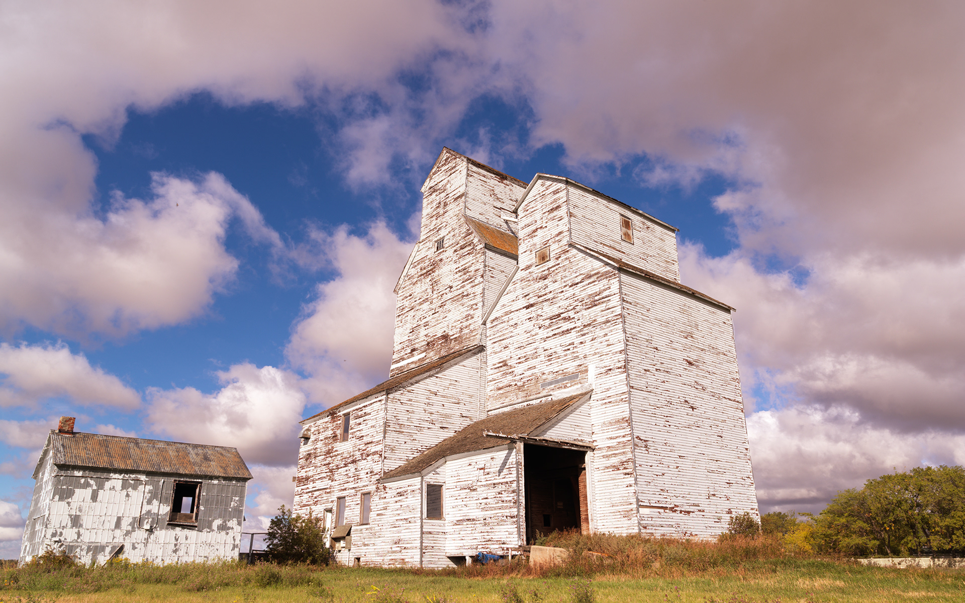 Patterson Grain Elevator