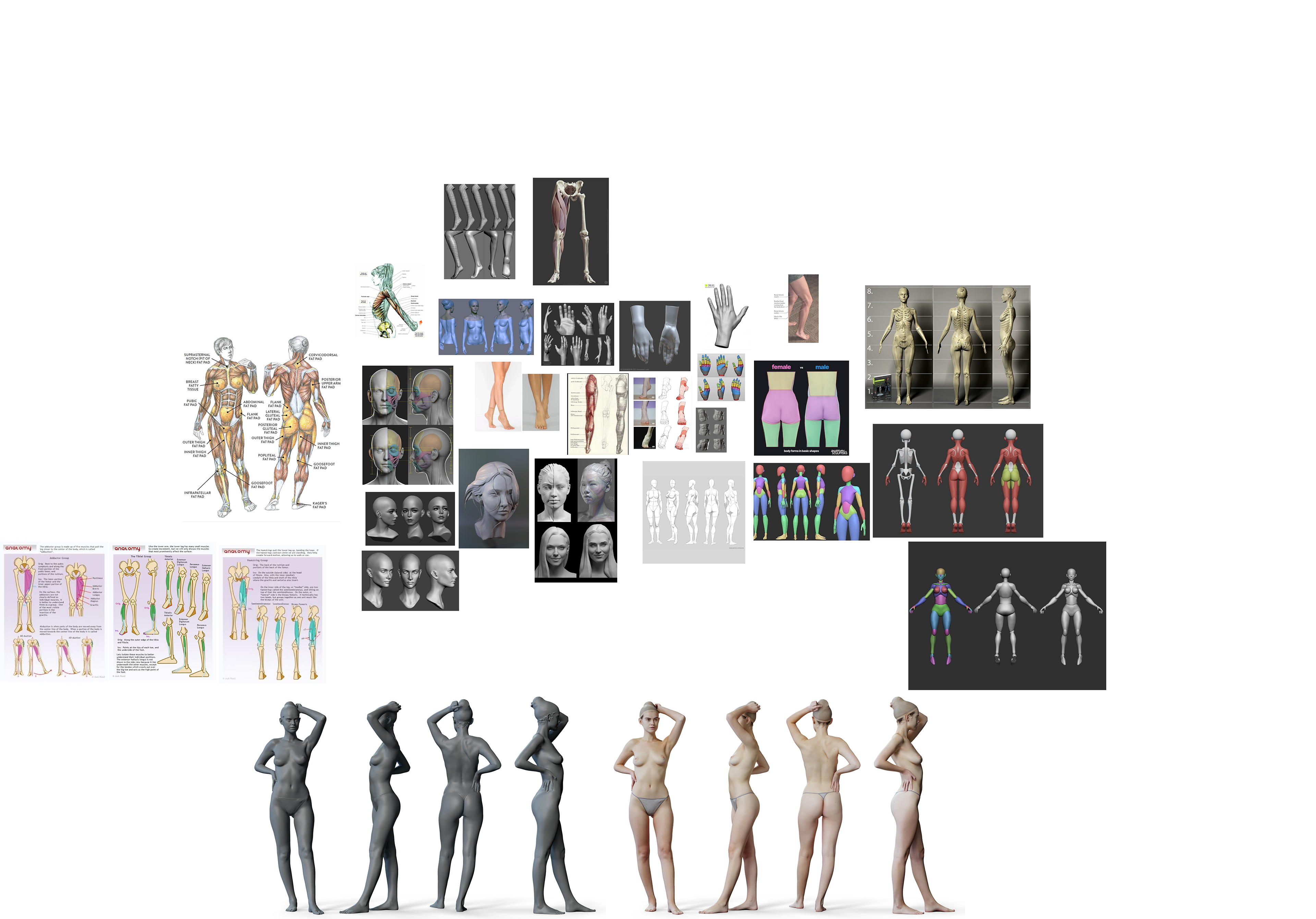 Reference