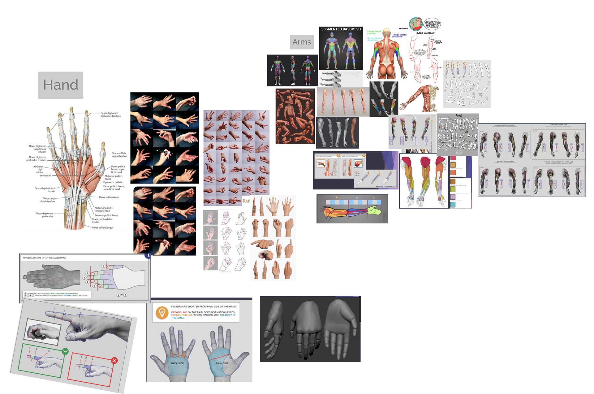 Collected Reference