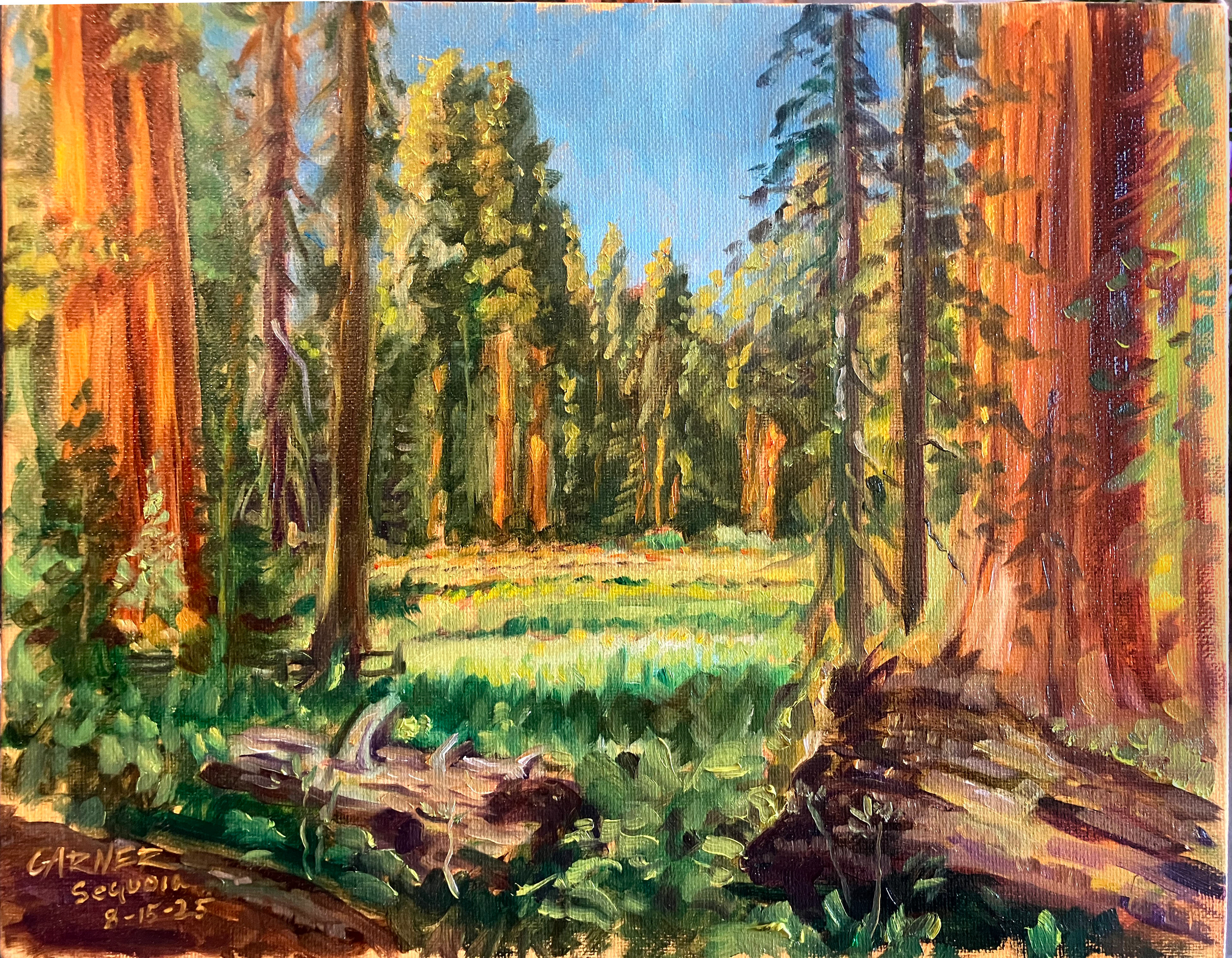 Big Tee Trail Sequoia. 2025, oil on canvas 14x11"