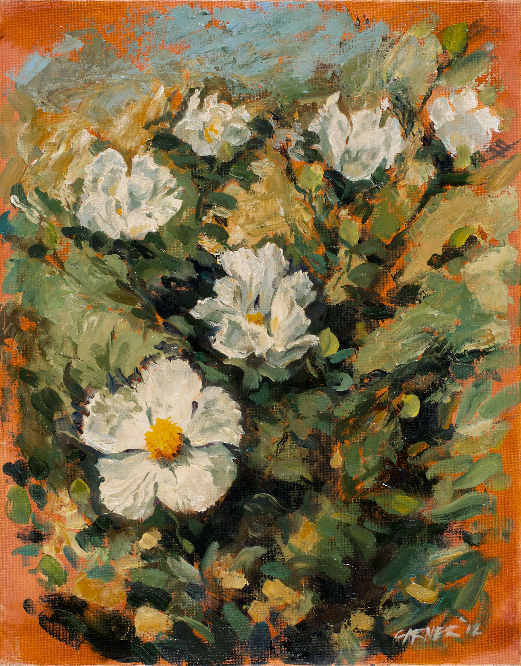 White Poppies, 2012, oil on canvas panel, 14" X 11"