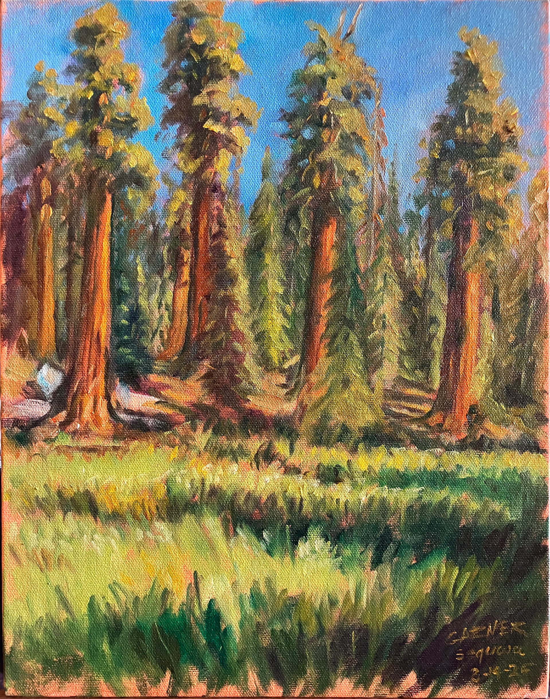 Big Tee Trail Sequoia. 2025, oil on canvas 14x11"